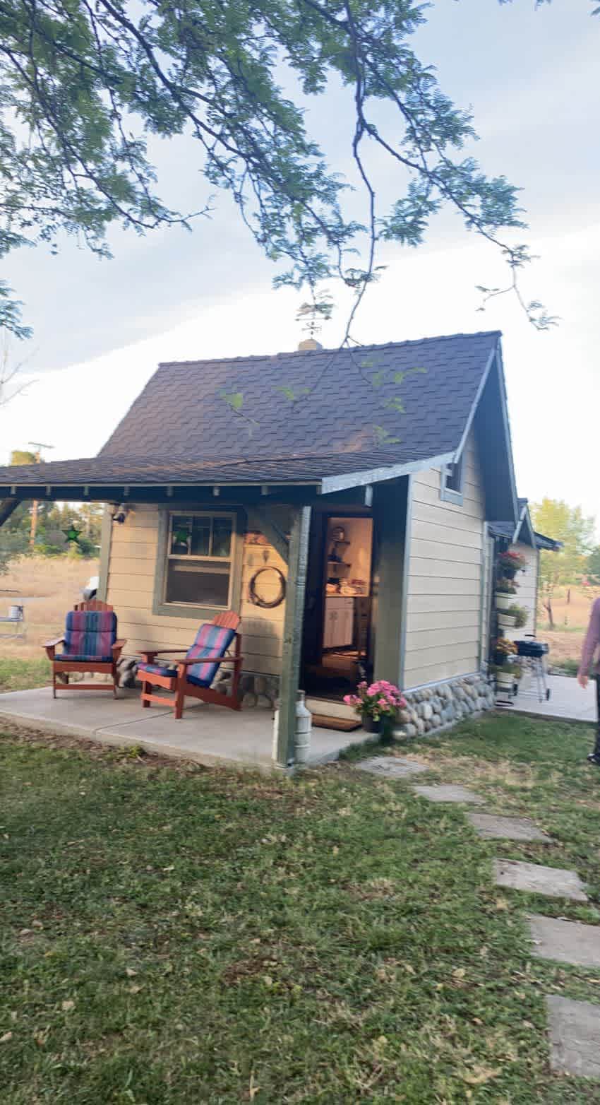The Foxes  Family Farm