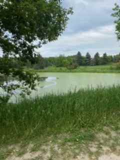 Champion Valley
