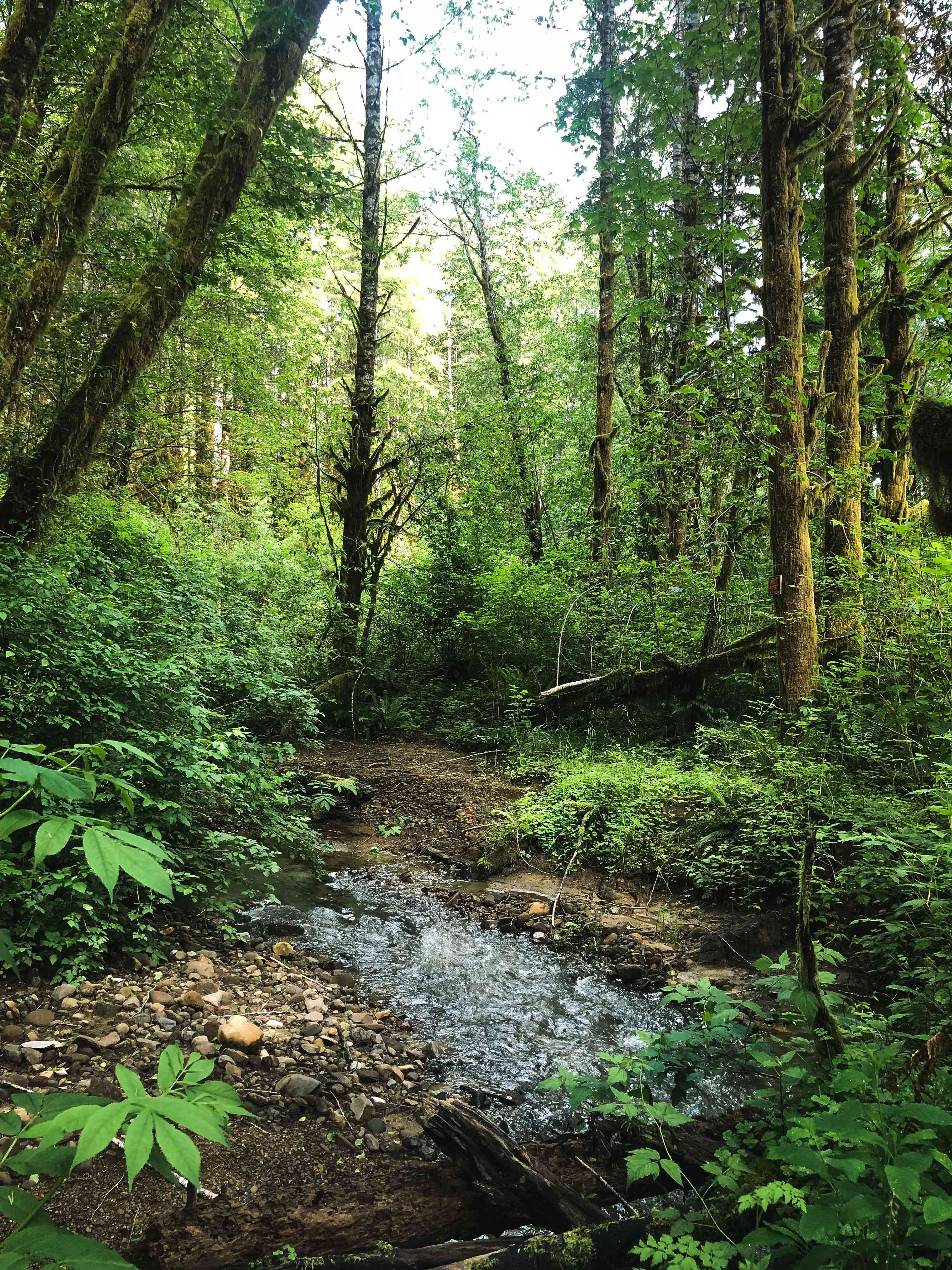 PNW Wilderness