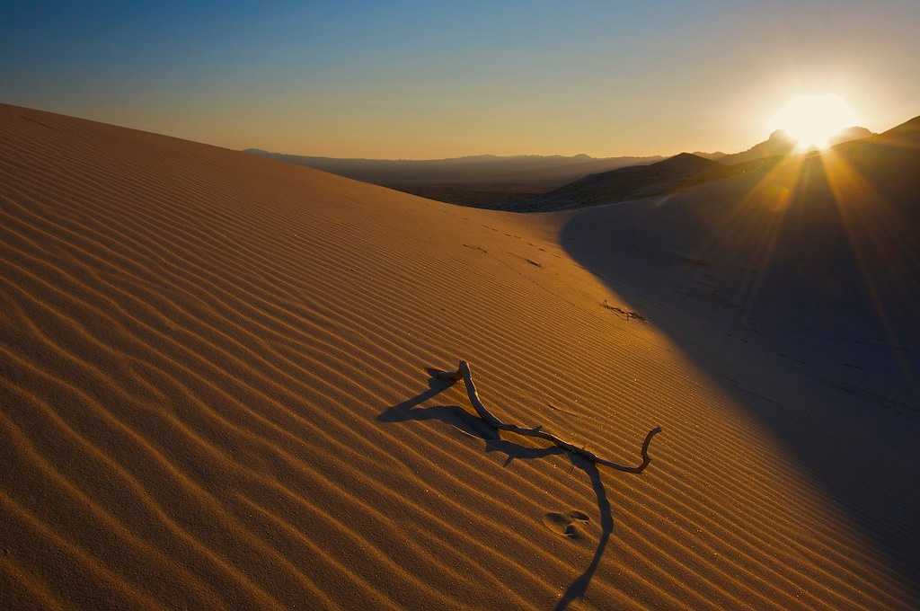 Kelso Dunes