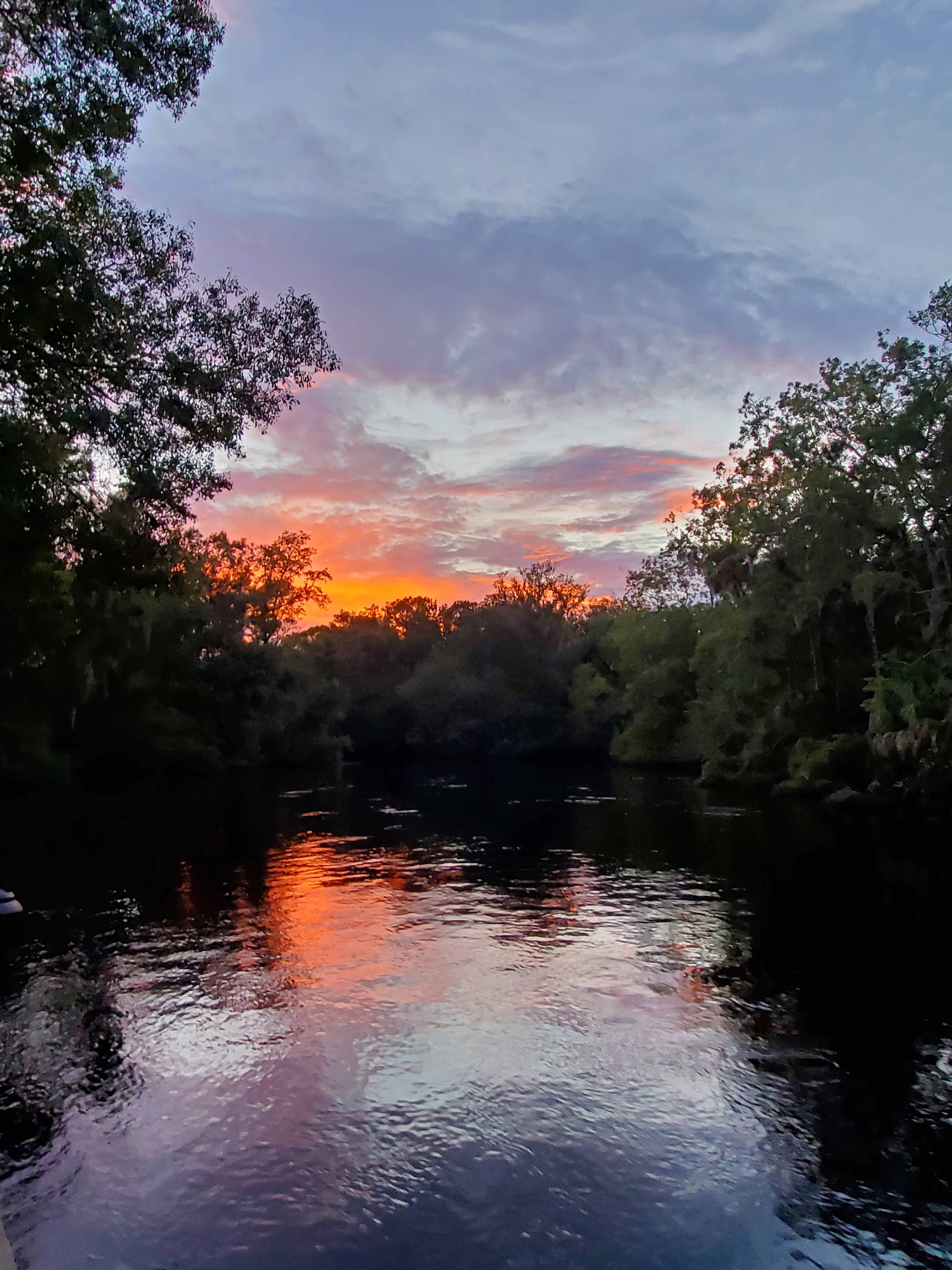 River Rise Cottage On the Aucilla