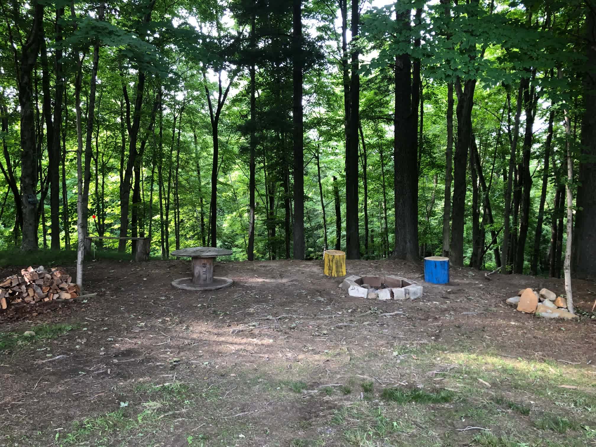 The McIntosh Pines