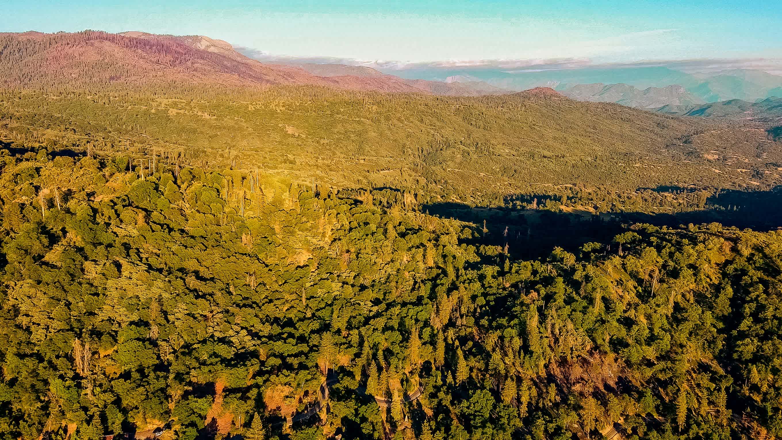 Sequoia Mountain Farms