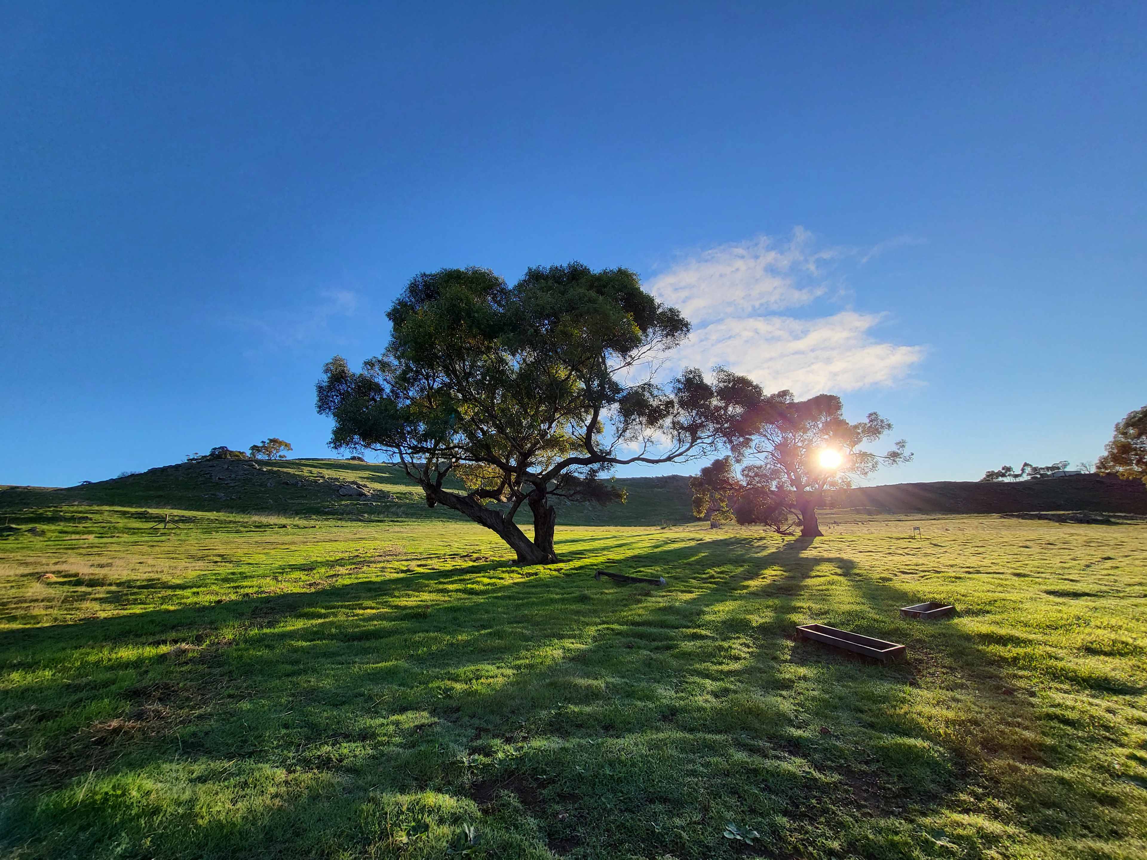 Sunrise from our campsite