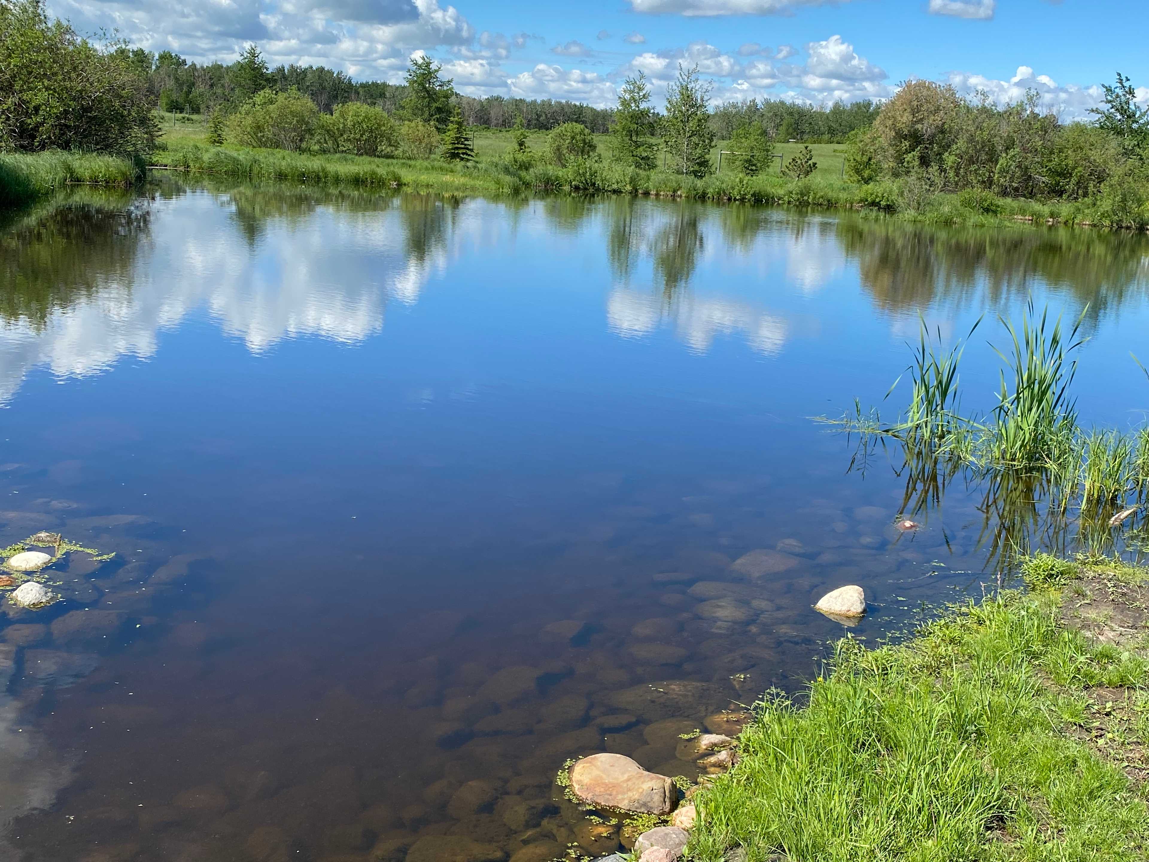 Elk Island Getaway