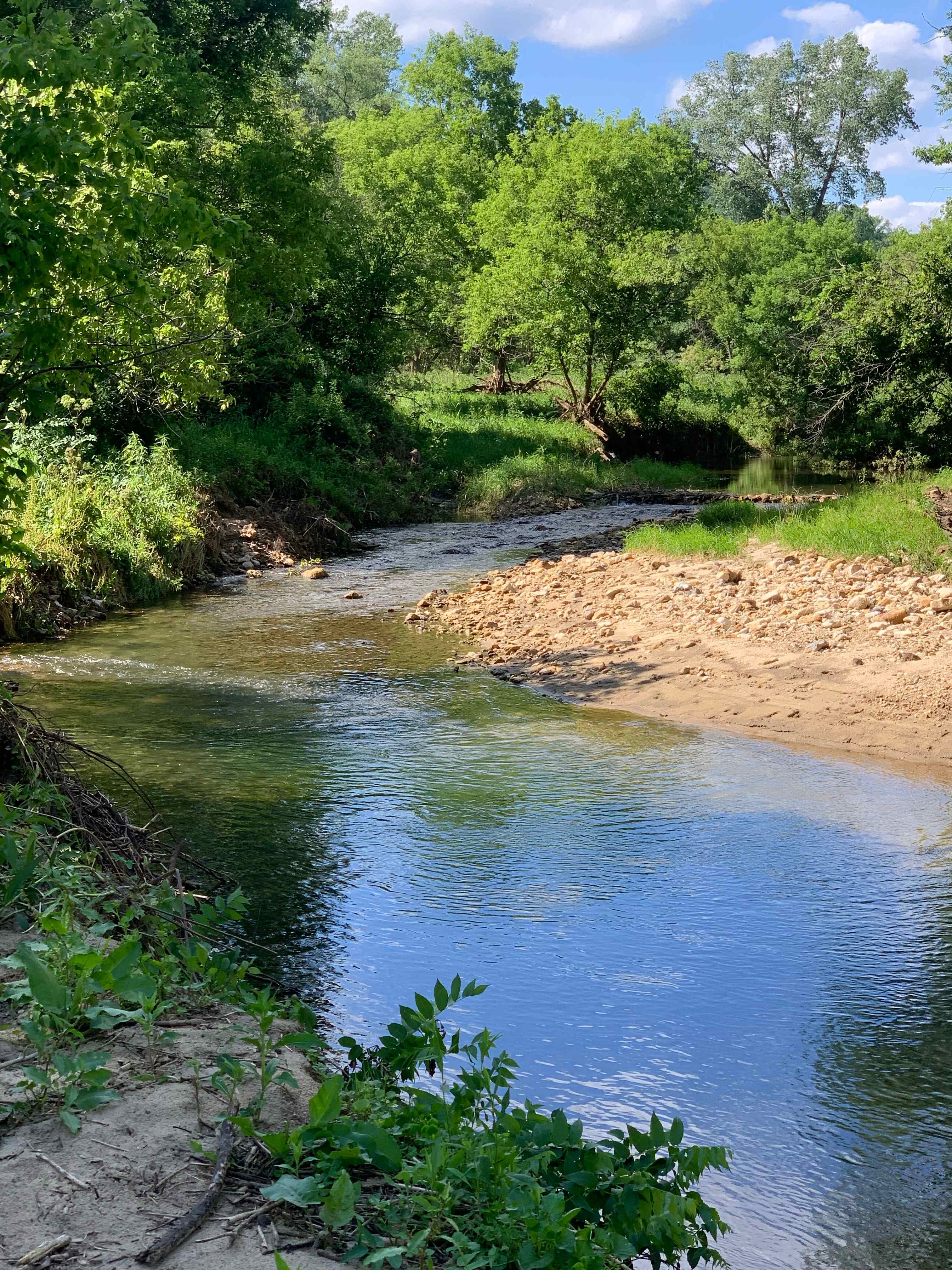 New Hartford trout camp