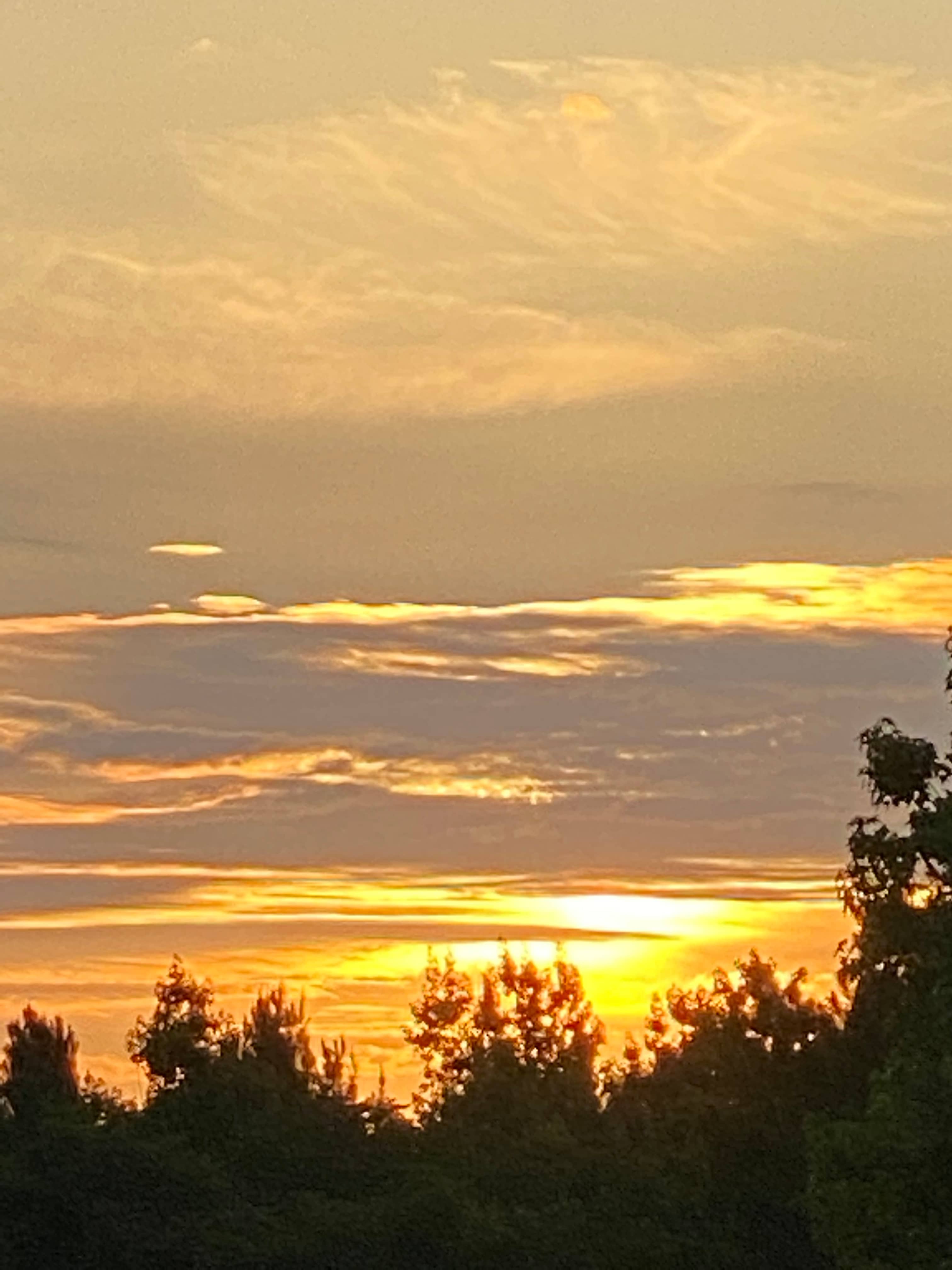 Beautiful sunsets from the runway and around the lake!