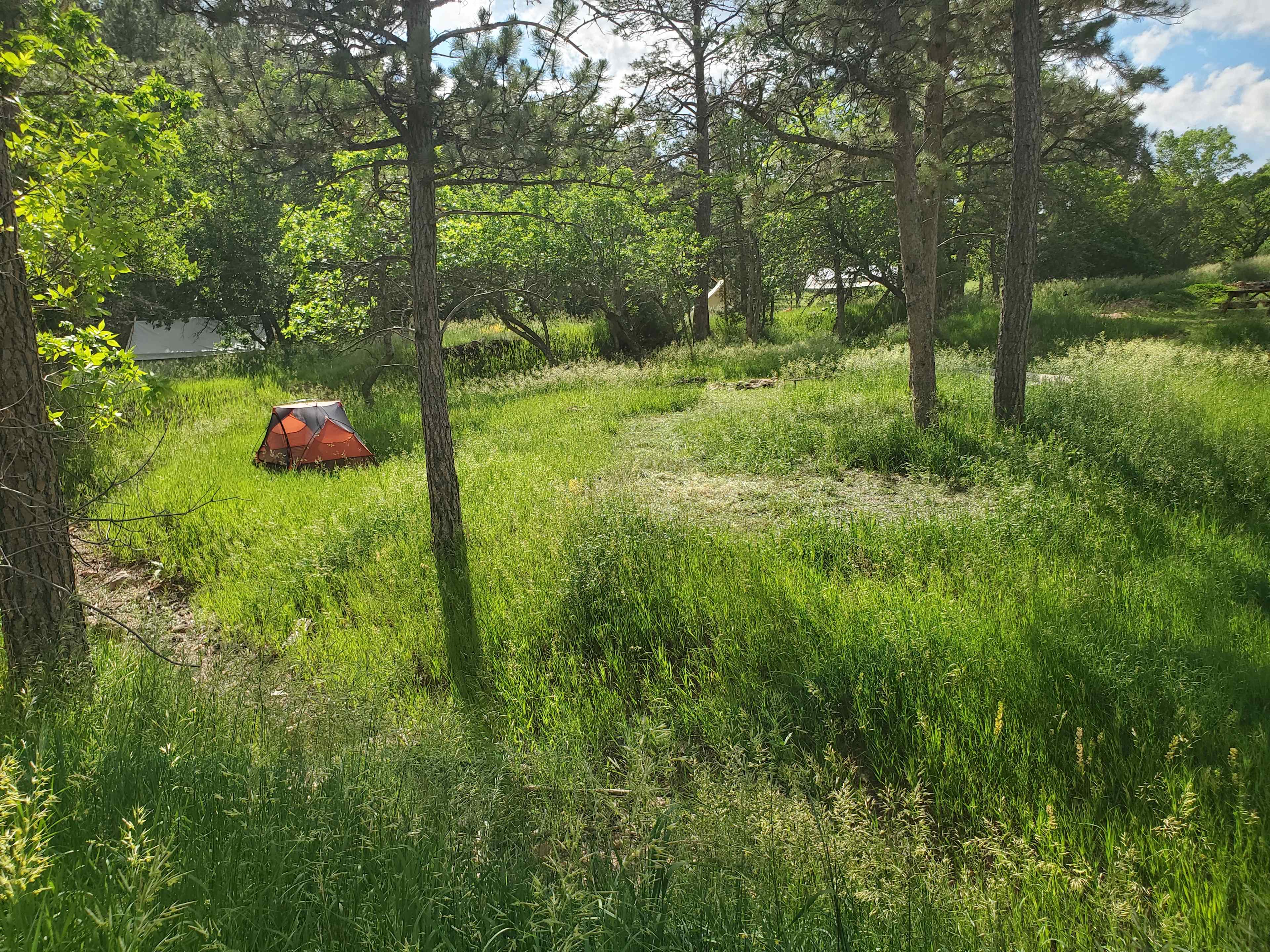 Bear Den Cabins & Camp