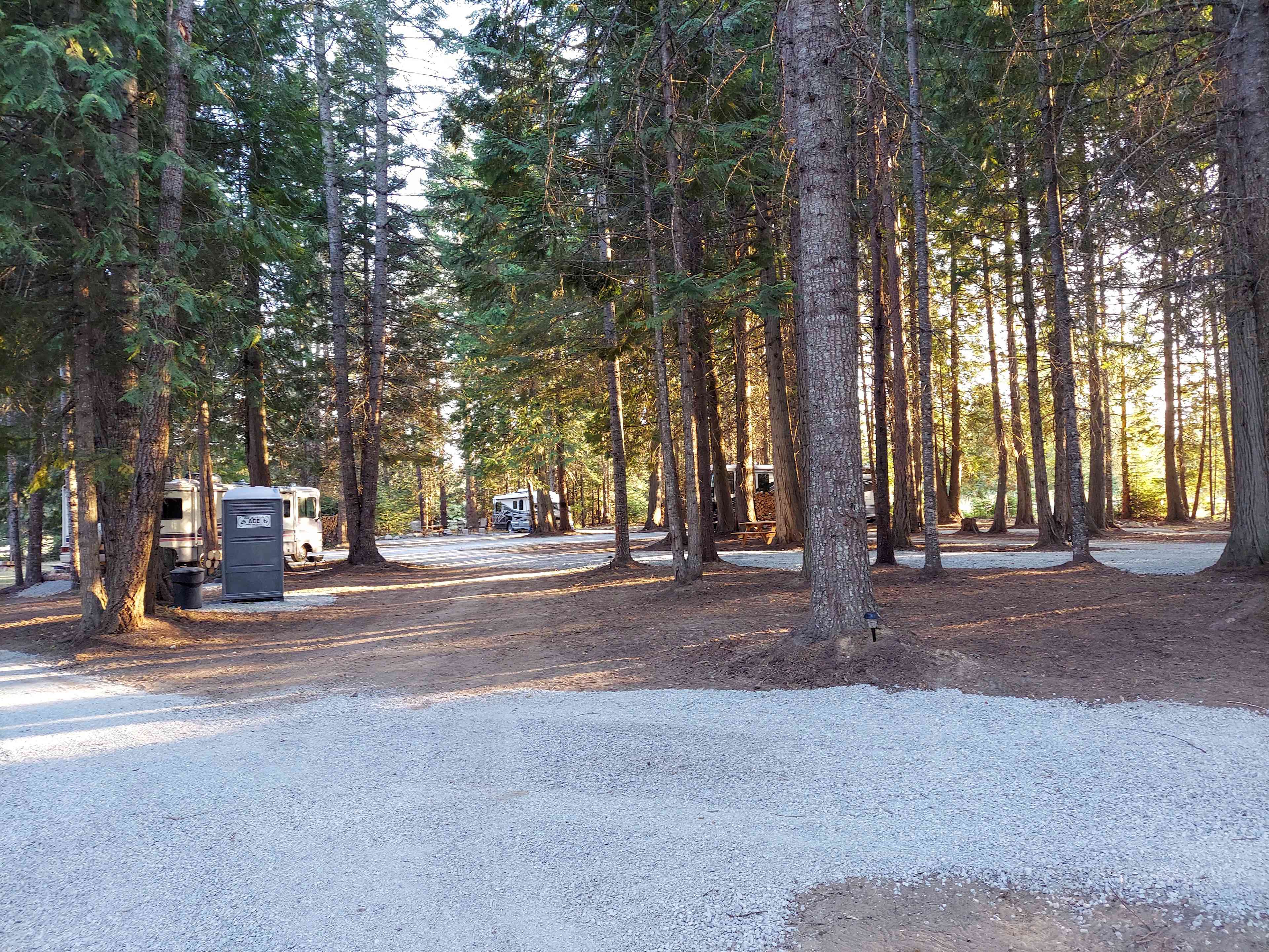 Under the Cedars