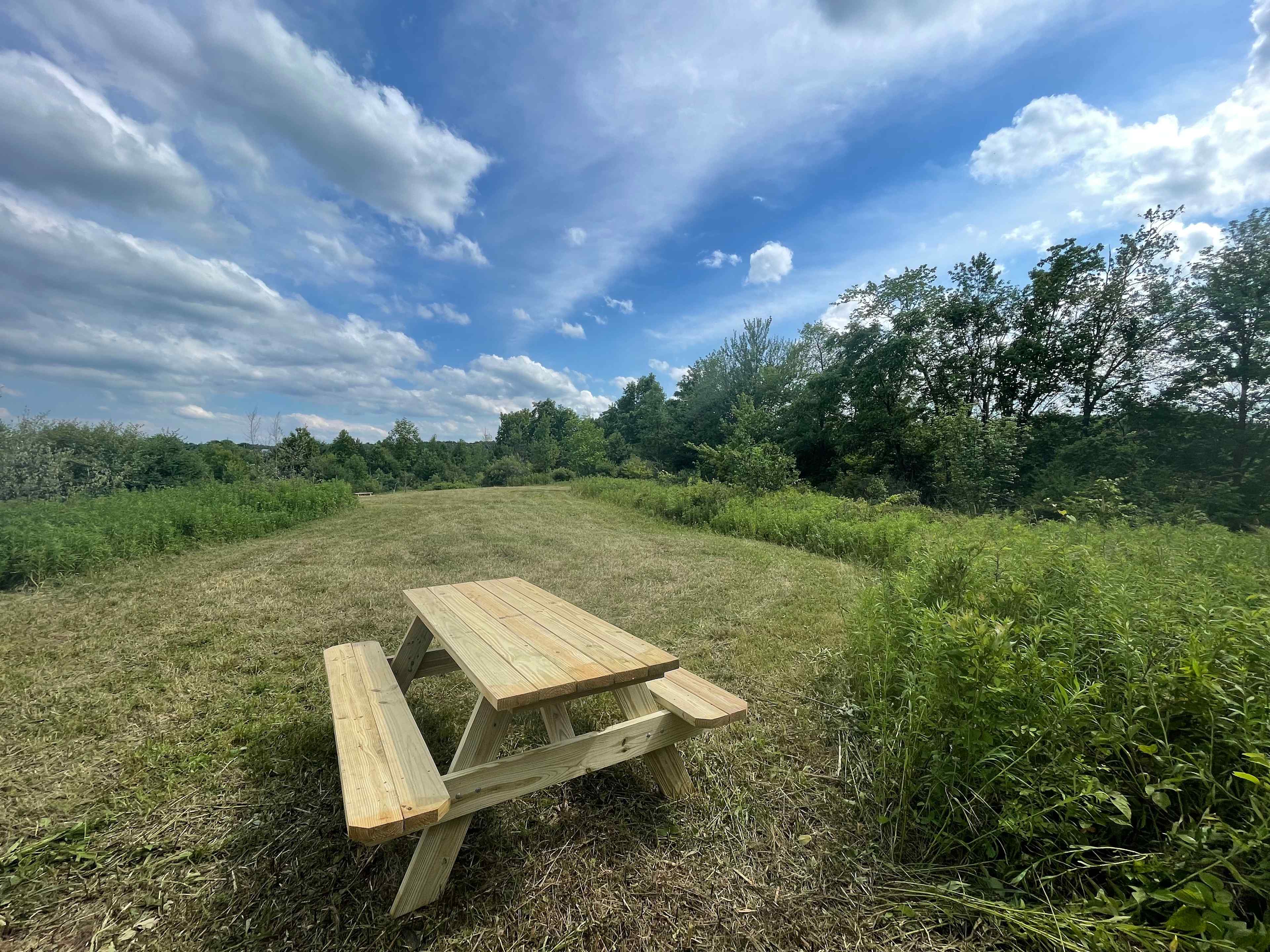 We just added another meadow site! It is also located on a small rise in the property and is surrounded by hedgerows and meadows.
