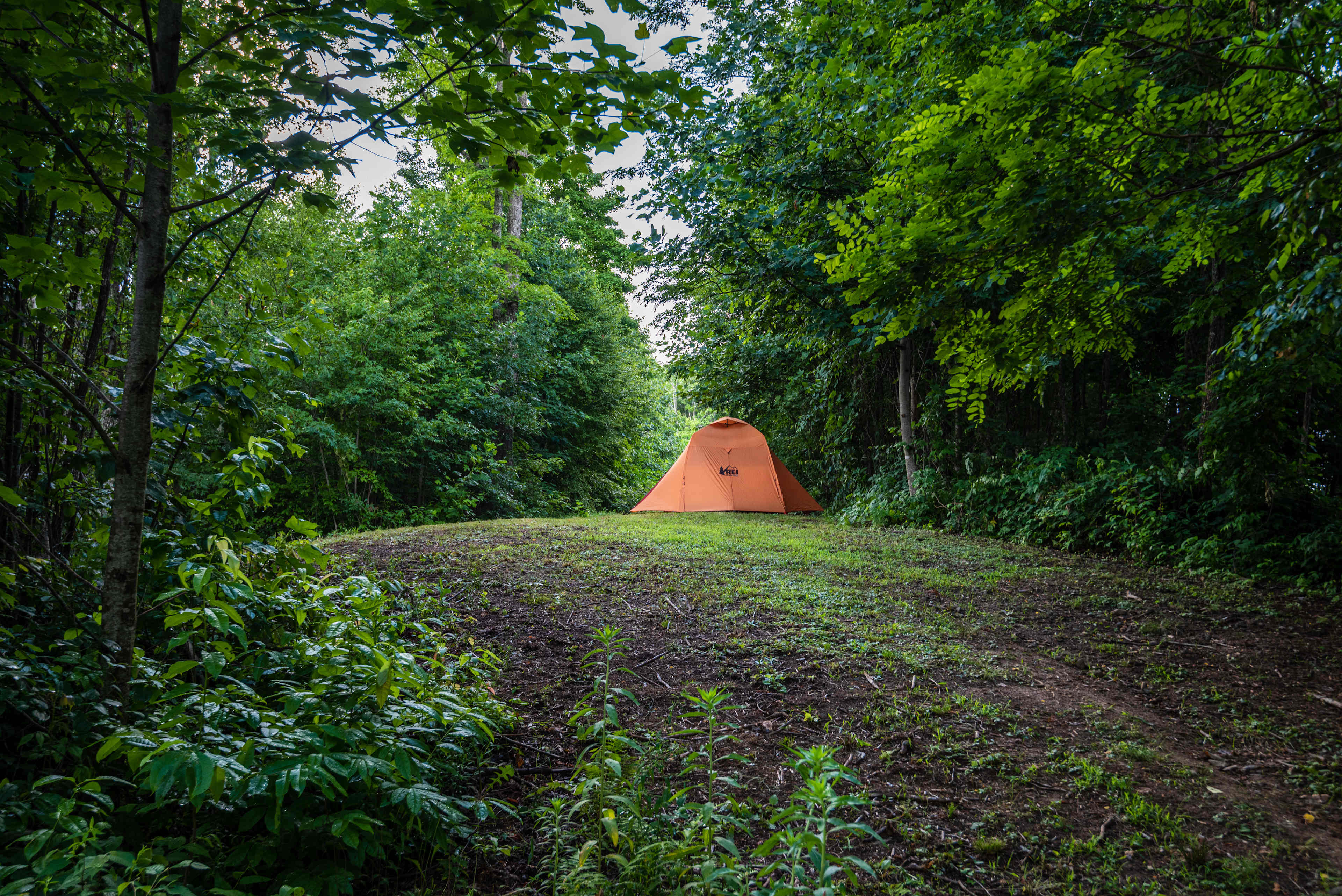 site  8