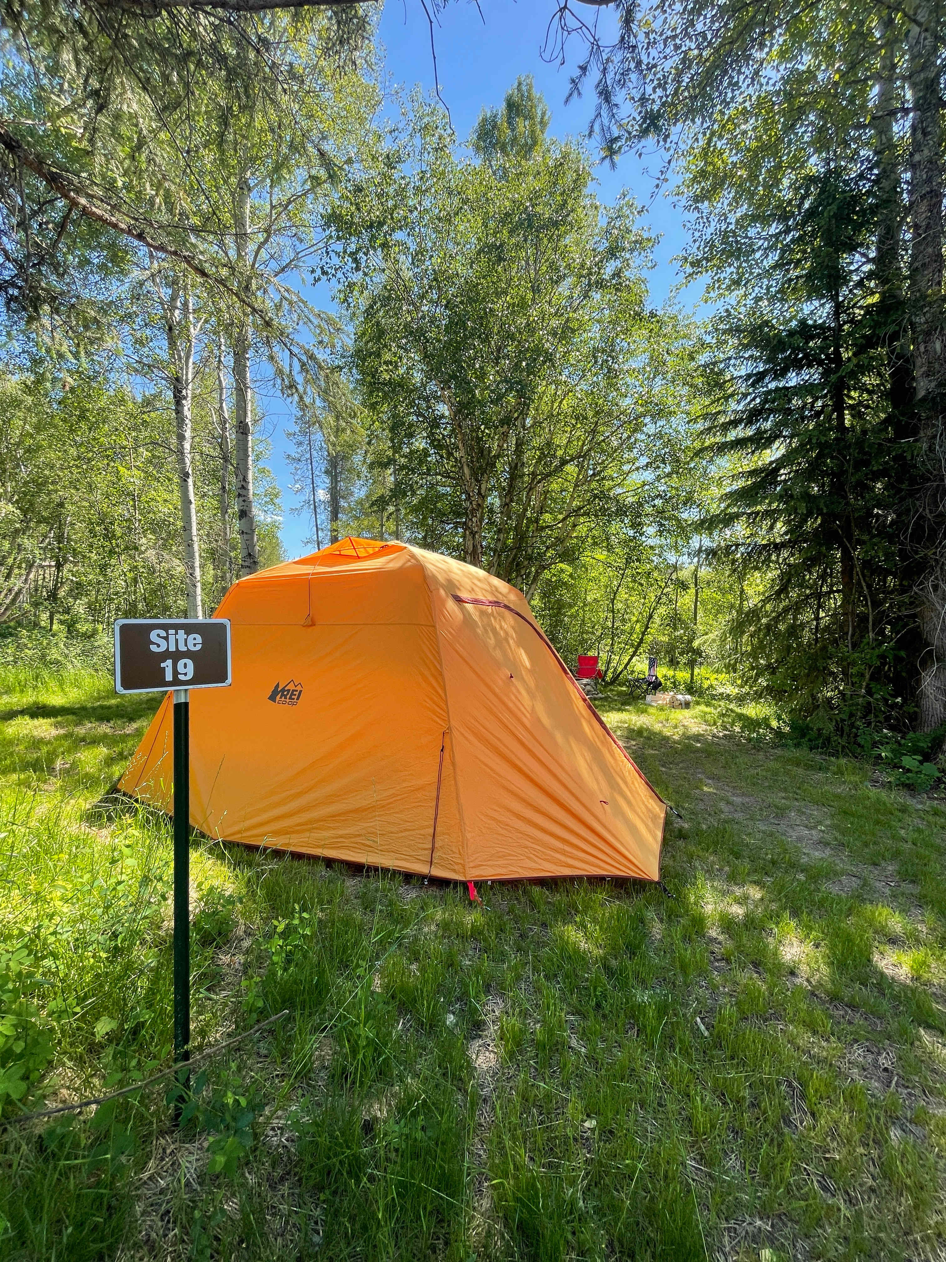 Site 19