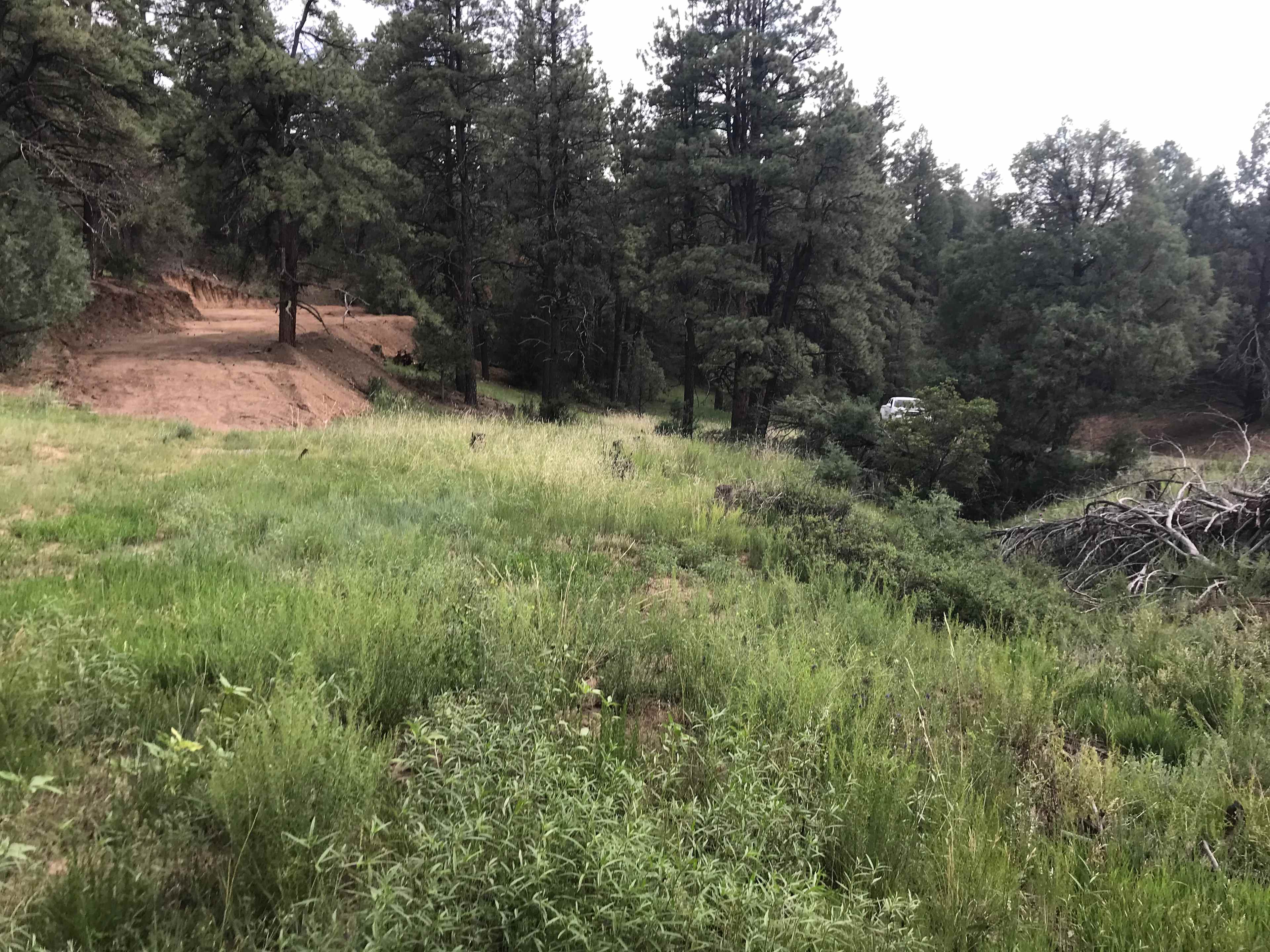 We have a nice large flat area for you to park your small camper or truck camper  we will be cutting down the tree by the driveway soon. 