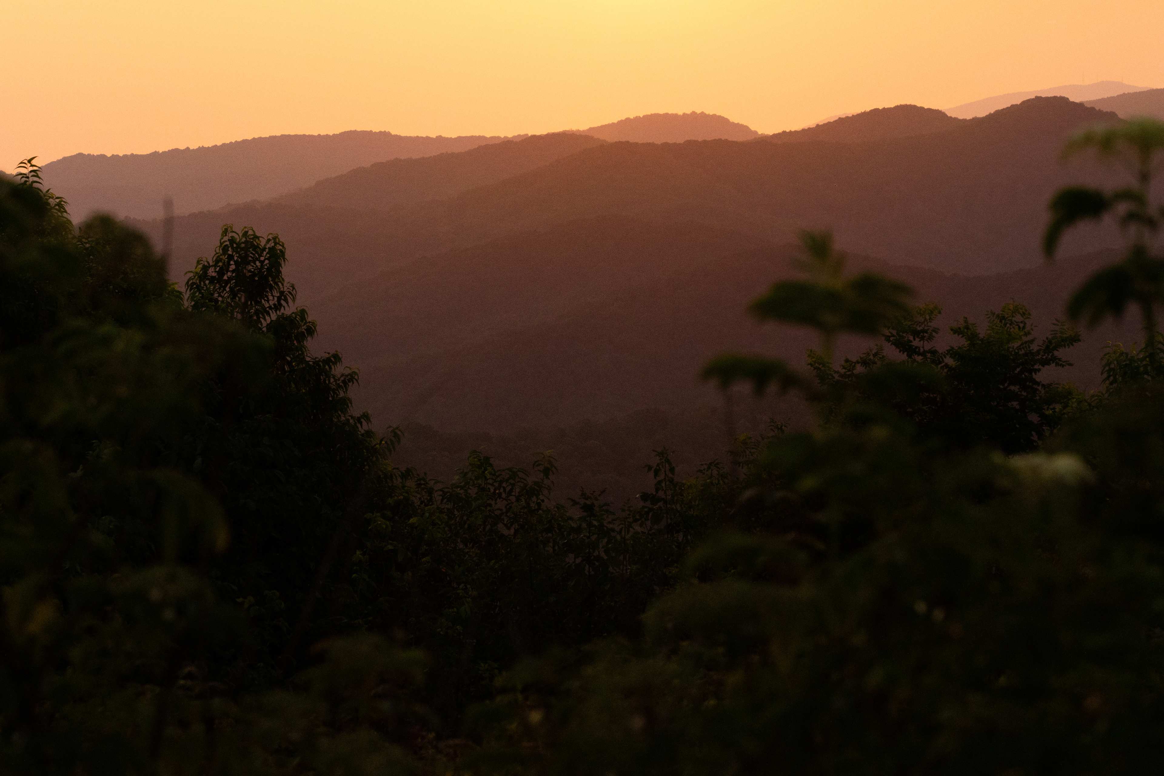 Haw Ridge