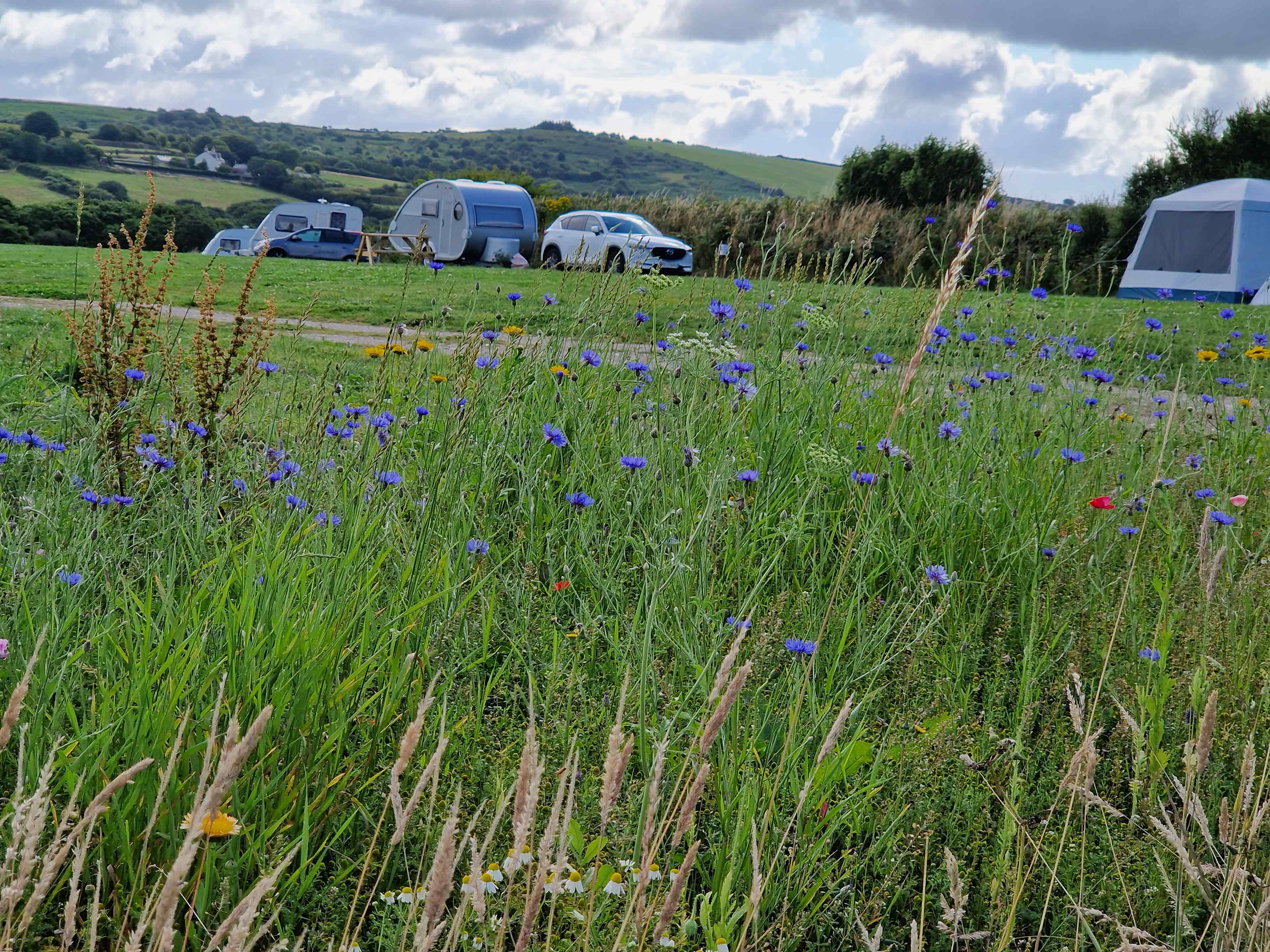 The Camping Field