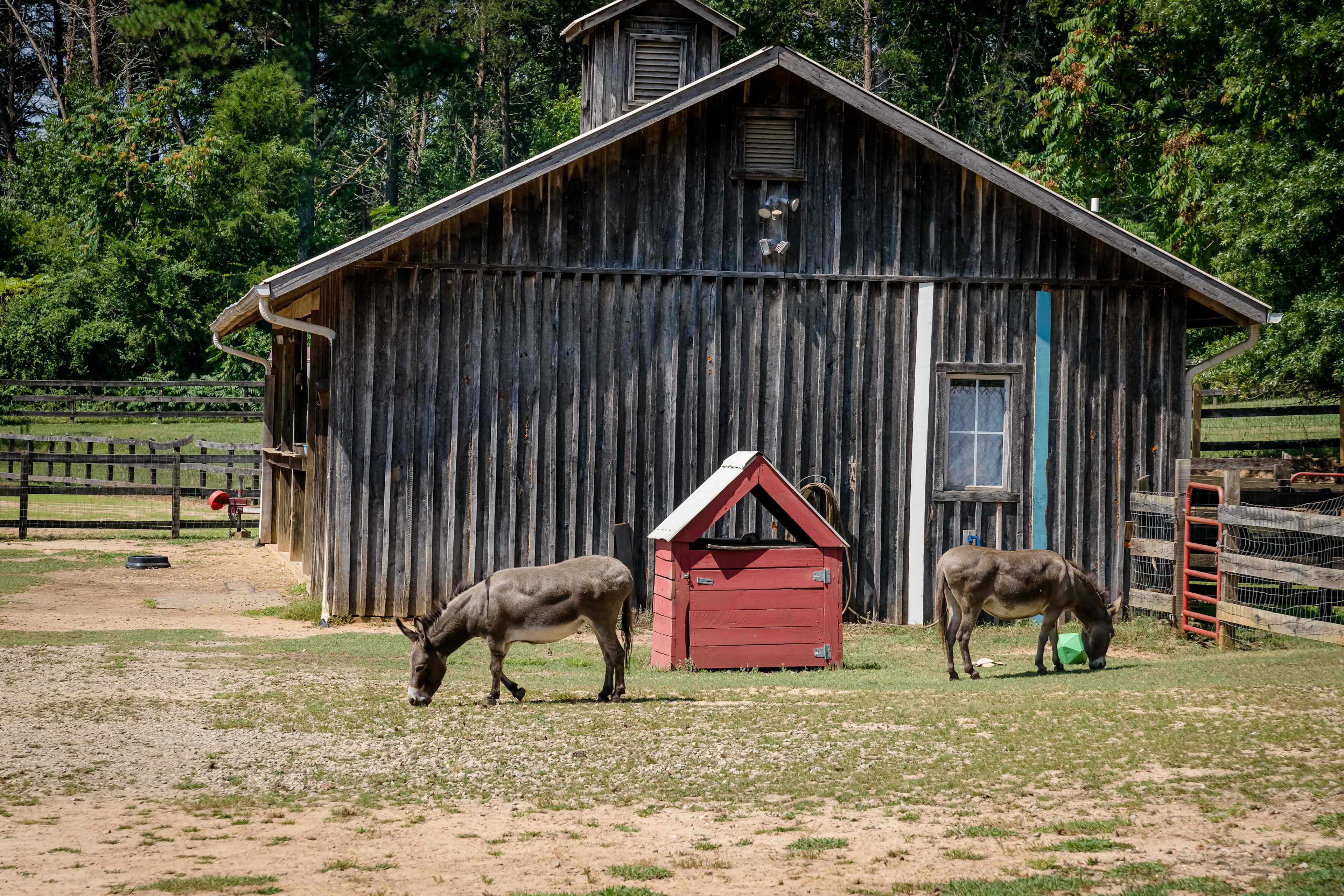 Imagine Equus Farm