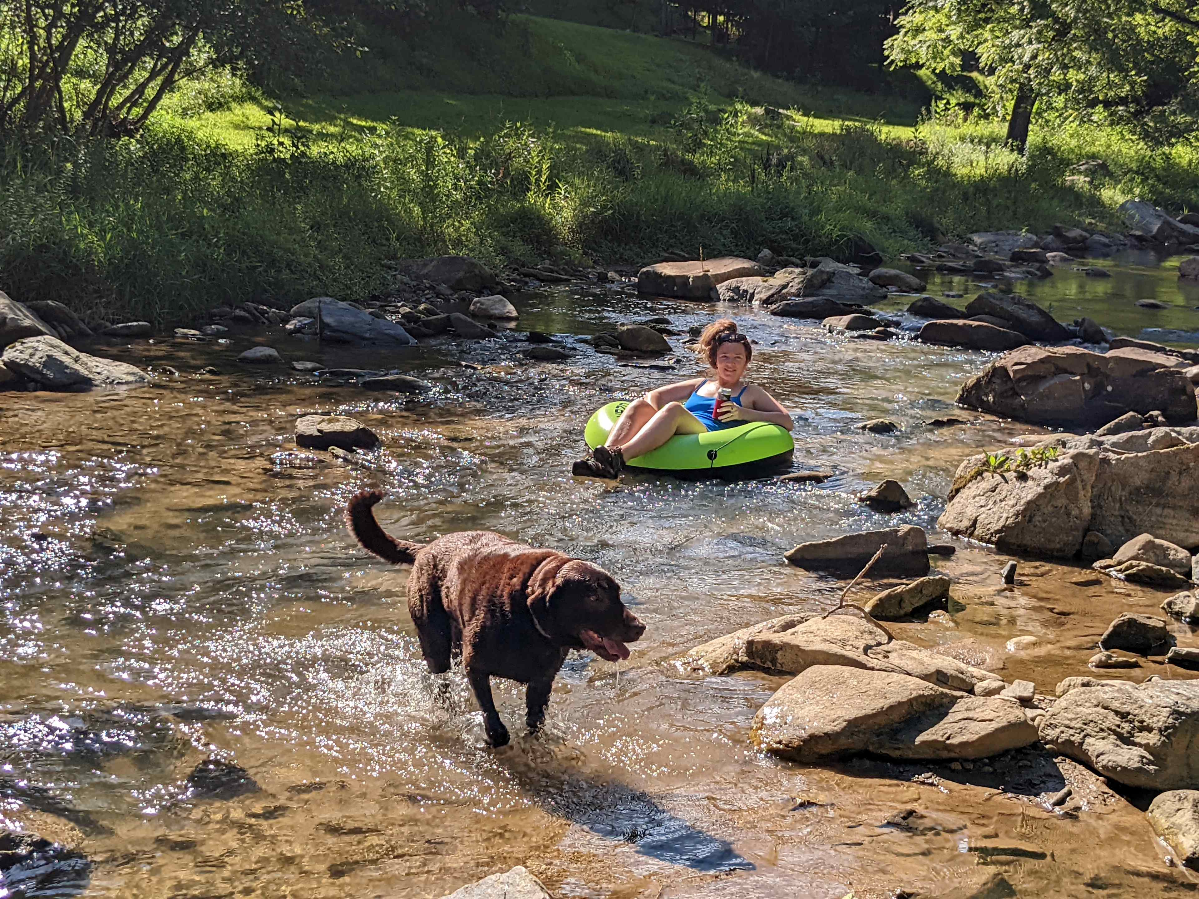 joyville, camping site on elk creek