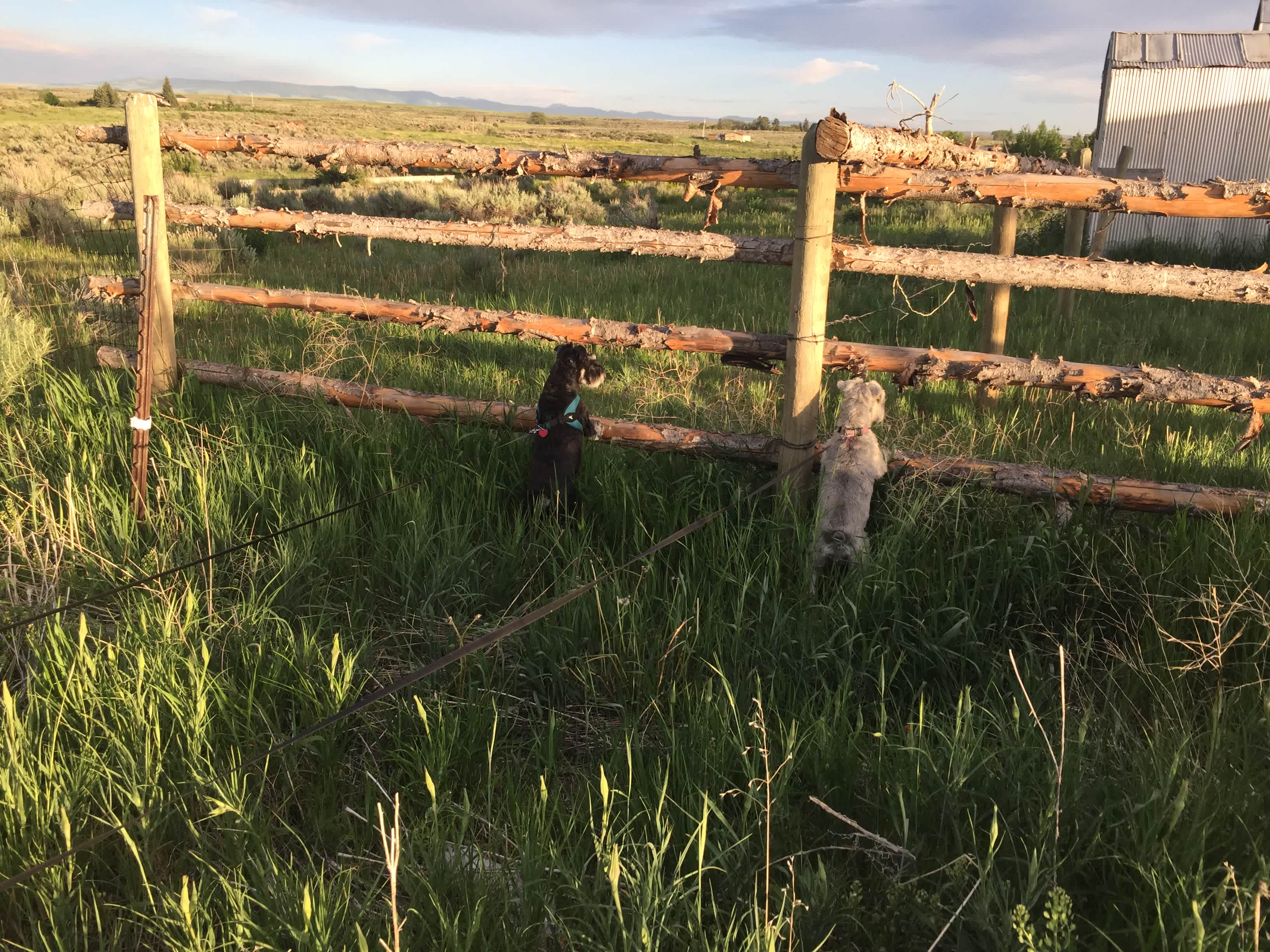 Teton View Ranch