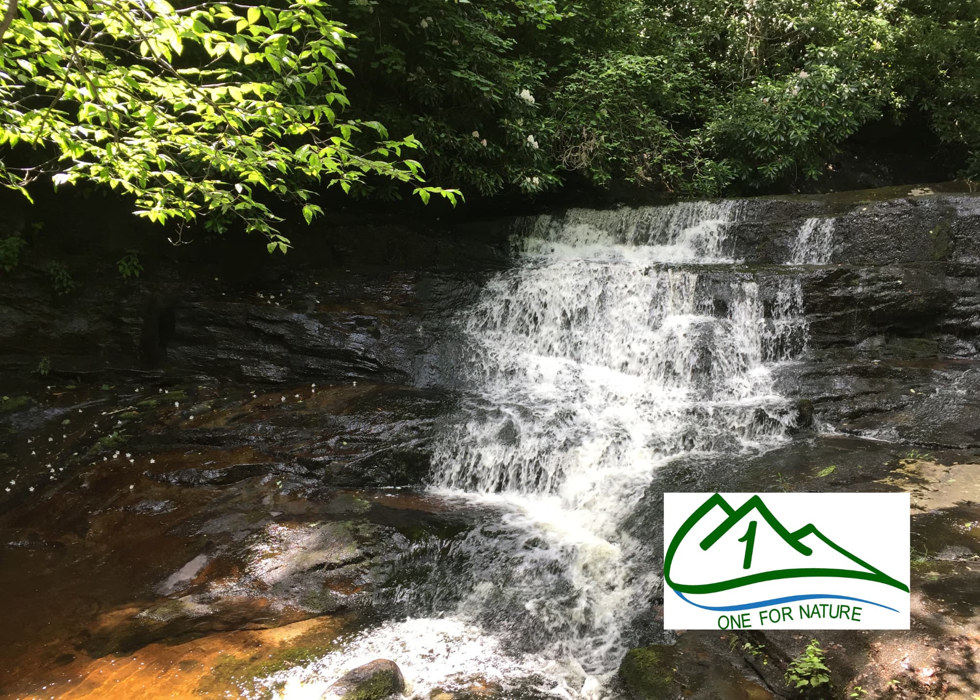 1% for Nature
Protecting and enhancing special places in the Pocono Mountains of Monroe County for all to enjoy.