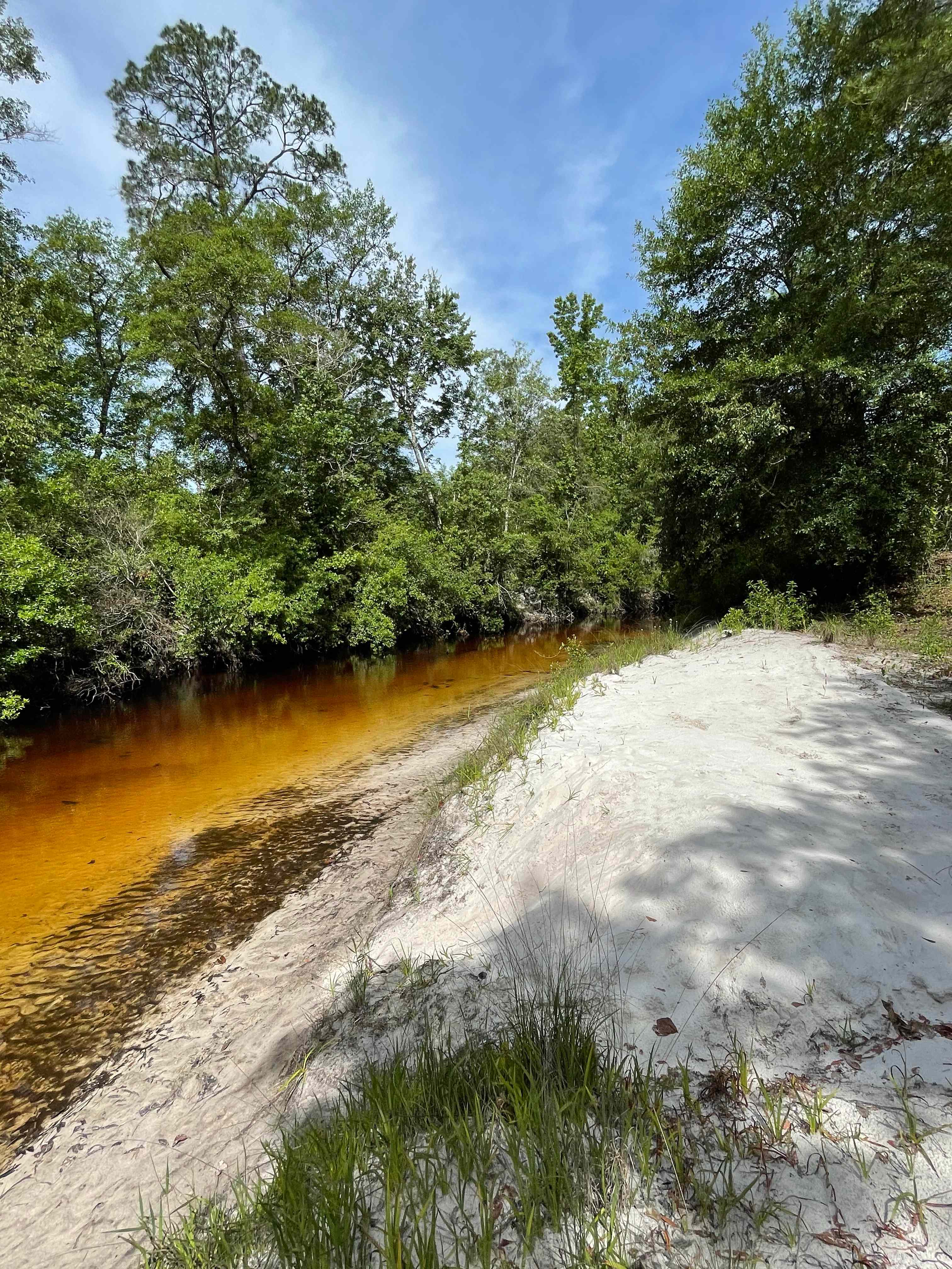 Sand Bar Tent Site