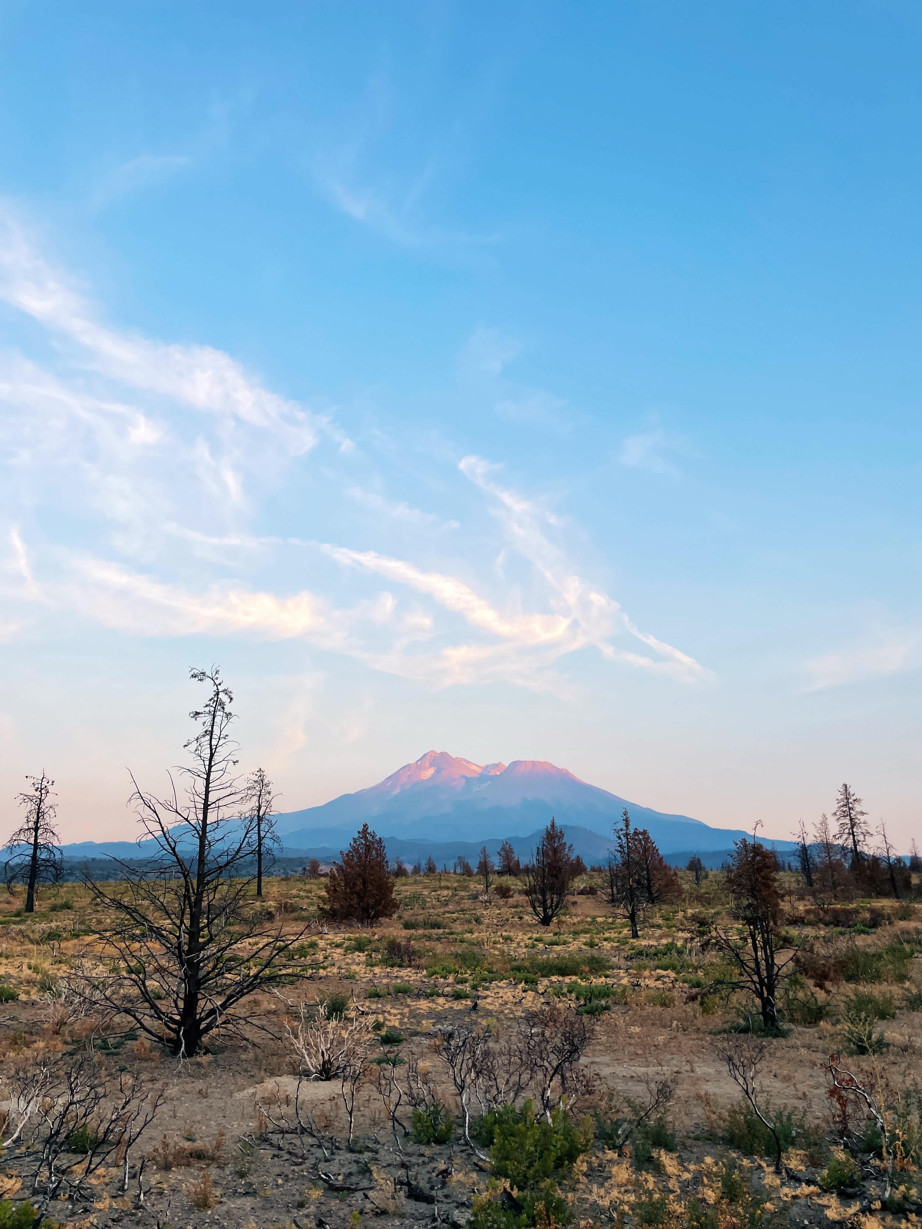 Juniper Valley Campsites