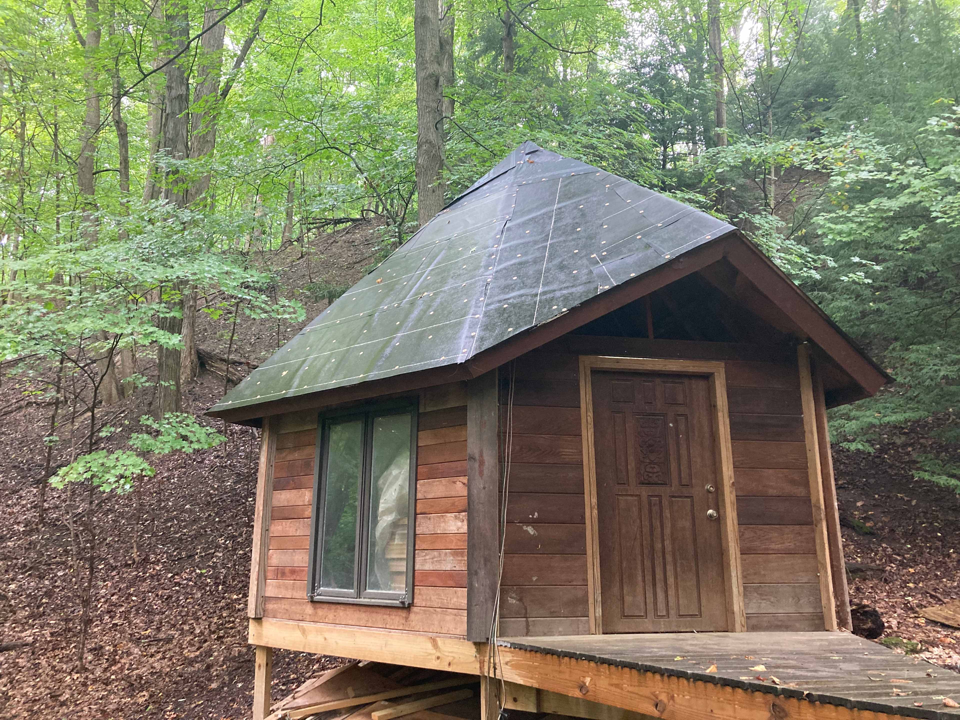 Hemlock & Hobbit Forest