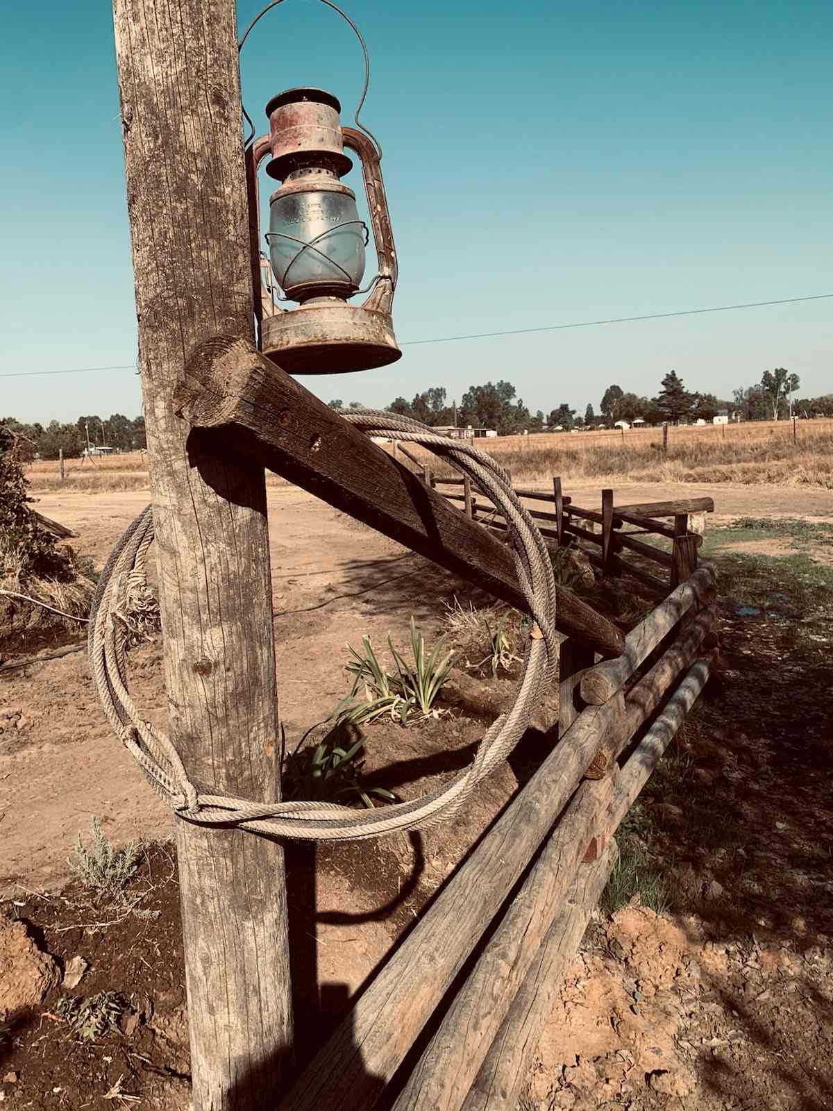 The Foxes  Family Farm