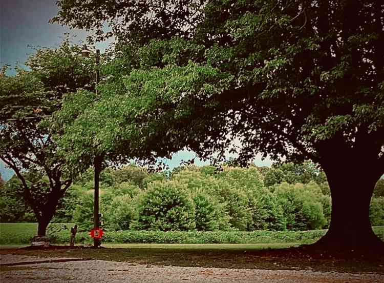 Beautiful RV site in rolling Western Kentucky farm country. Close to all amenities, Paducah and I-24.  Both  30 amp and 110 outlets, water spigot, hot tub and outdoor shower. 