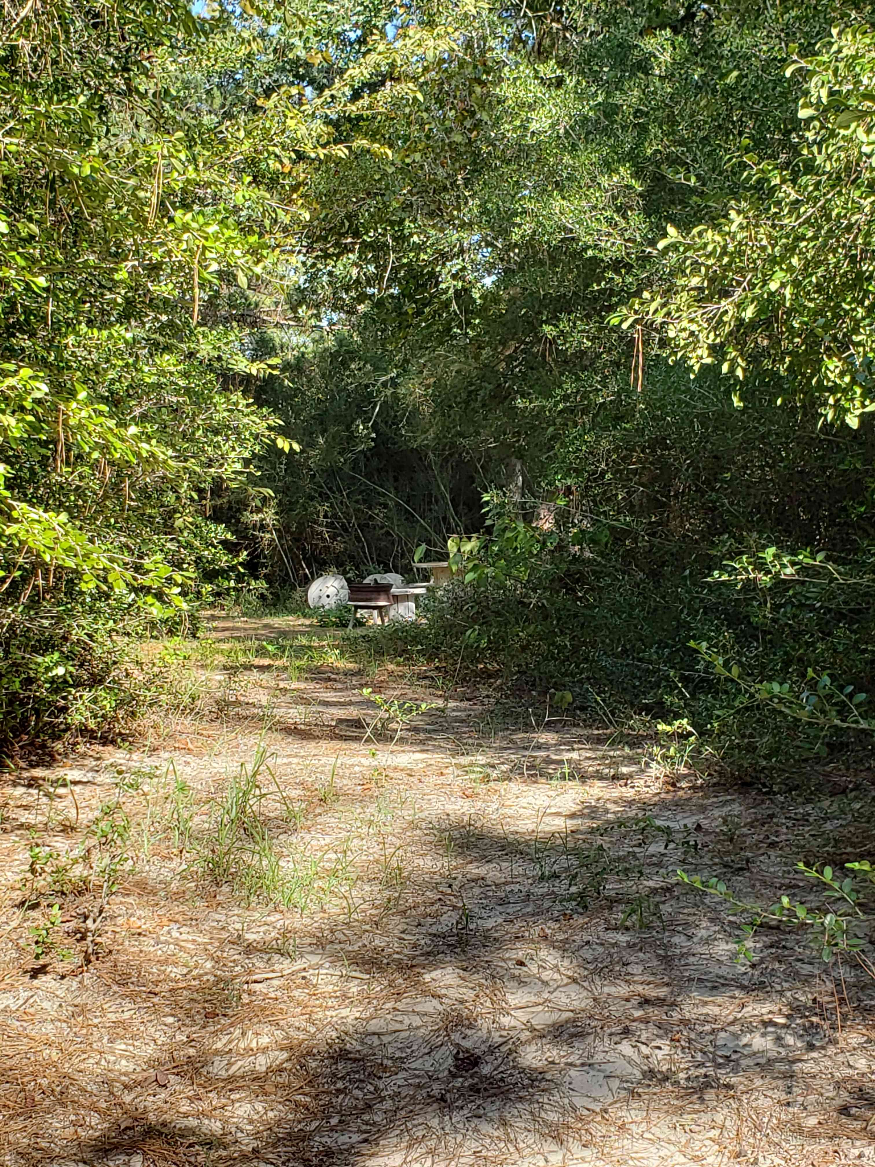 5D RANCH