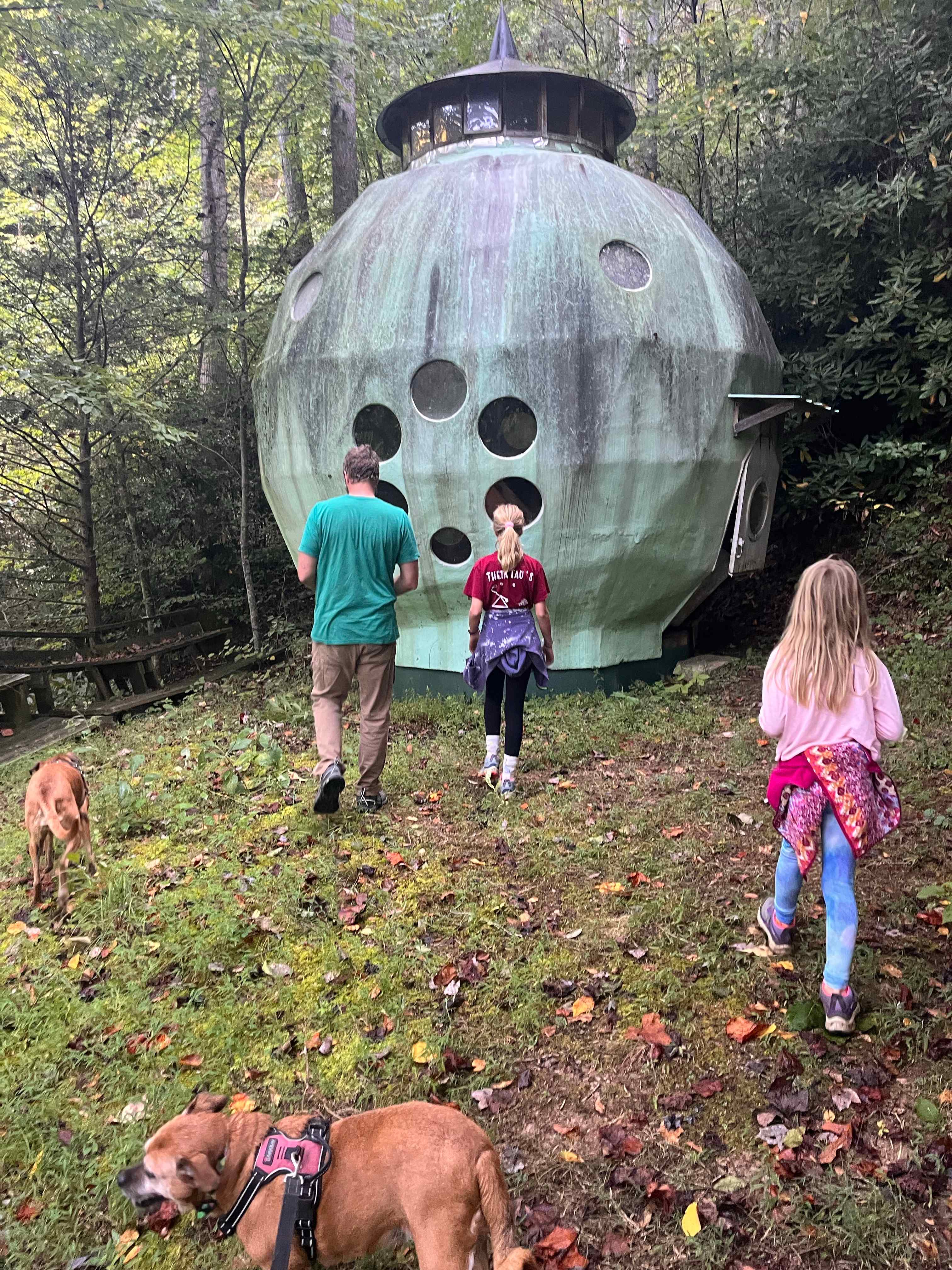 joyville, camping site on elk creek