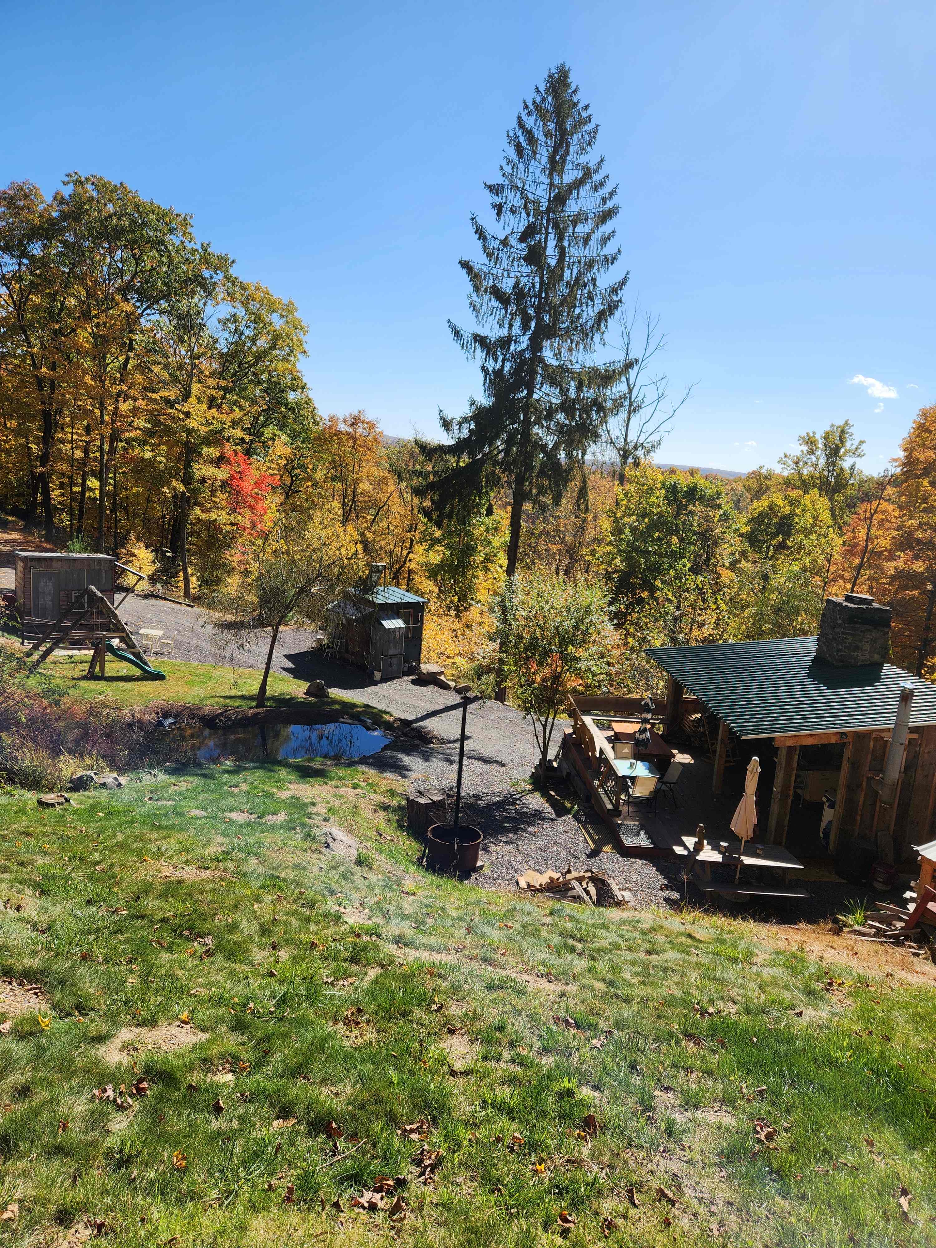 Cat' Camp