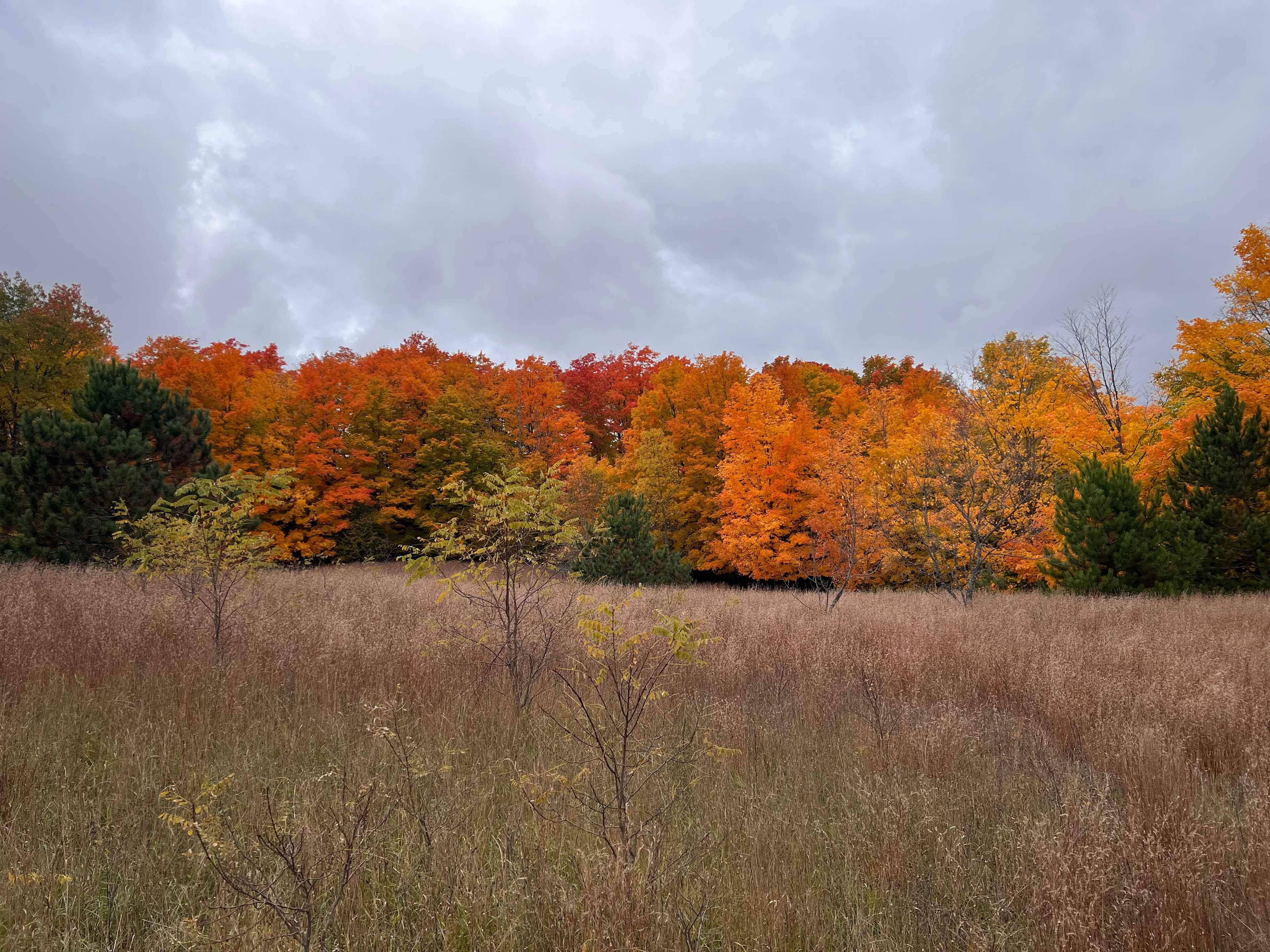 Heirloom Acres
