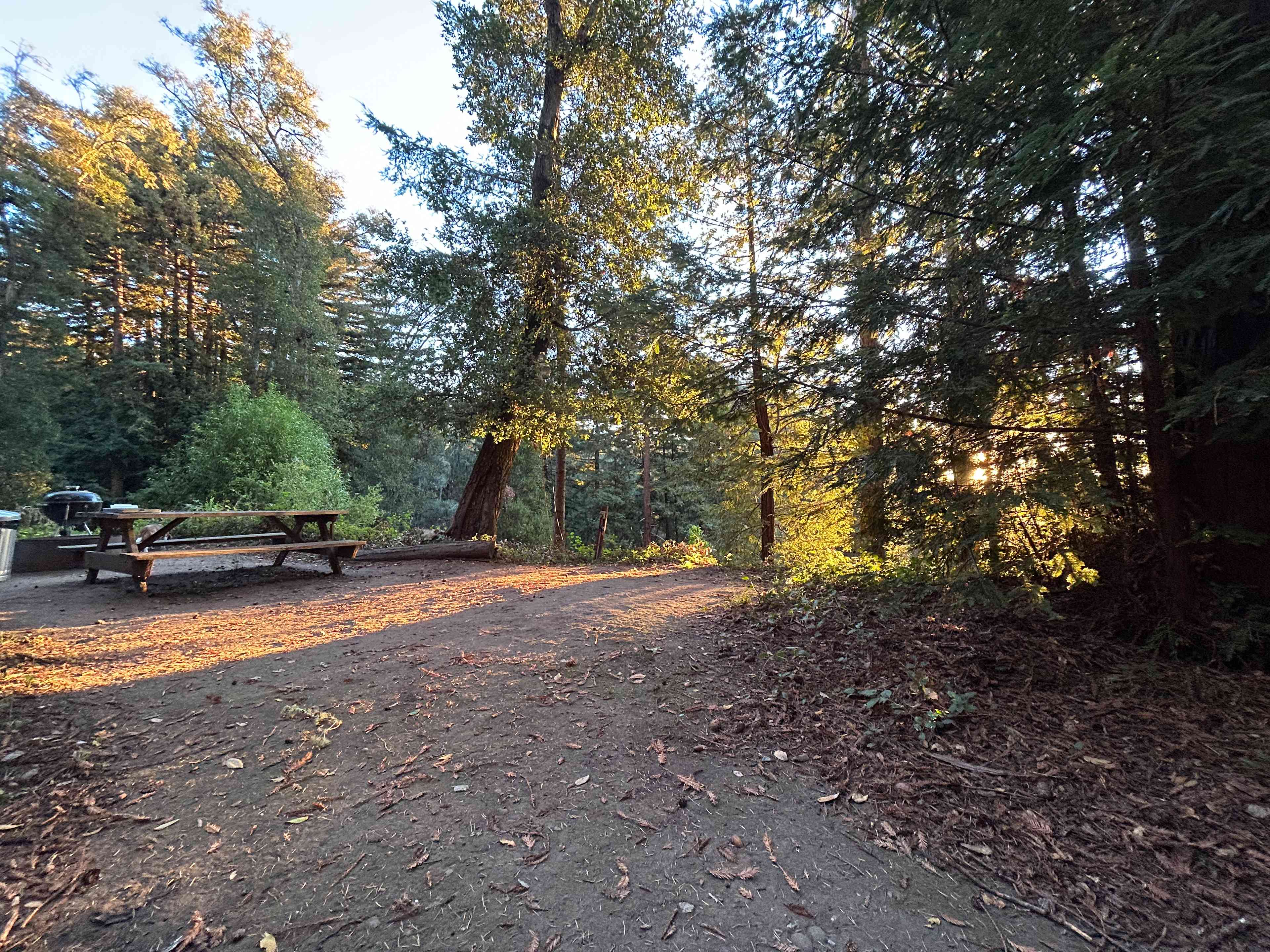 Mornings at Fern Ridge Flats
