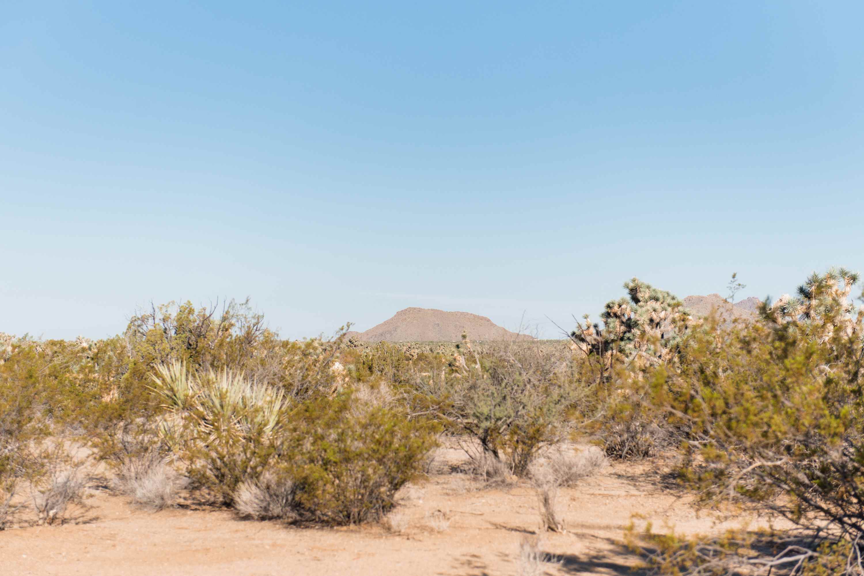 Wits End Ranch