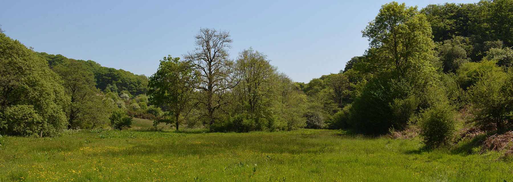 Aldridge Mill
