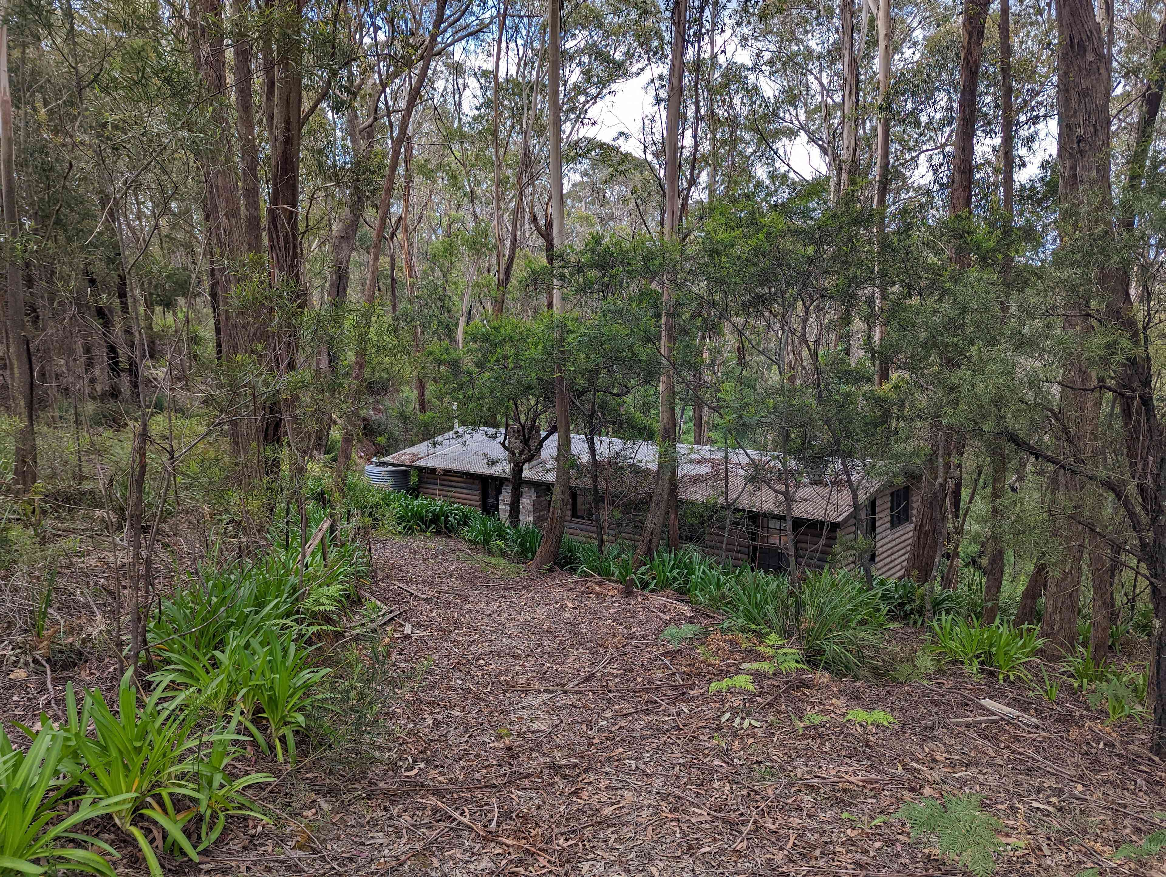 Stay in the cottage nestled in the bush and surrounded by wild life