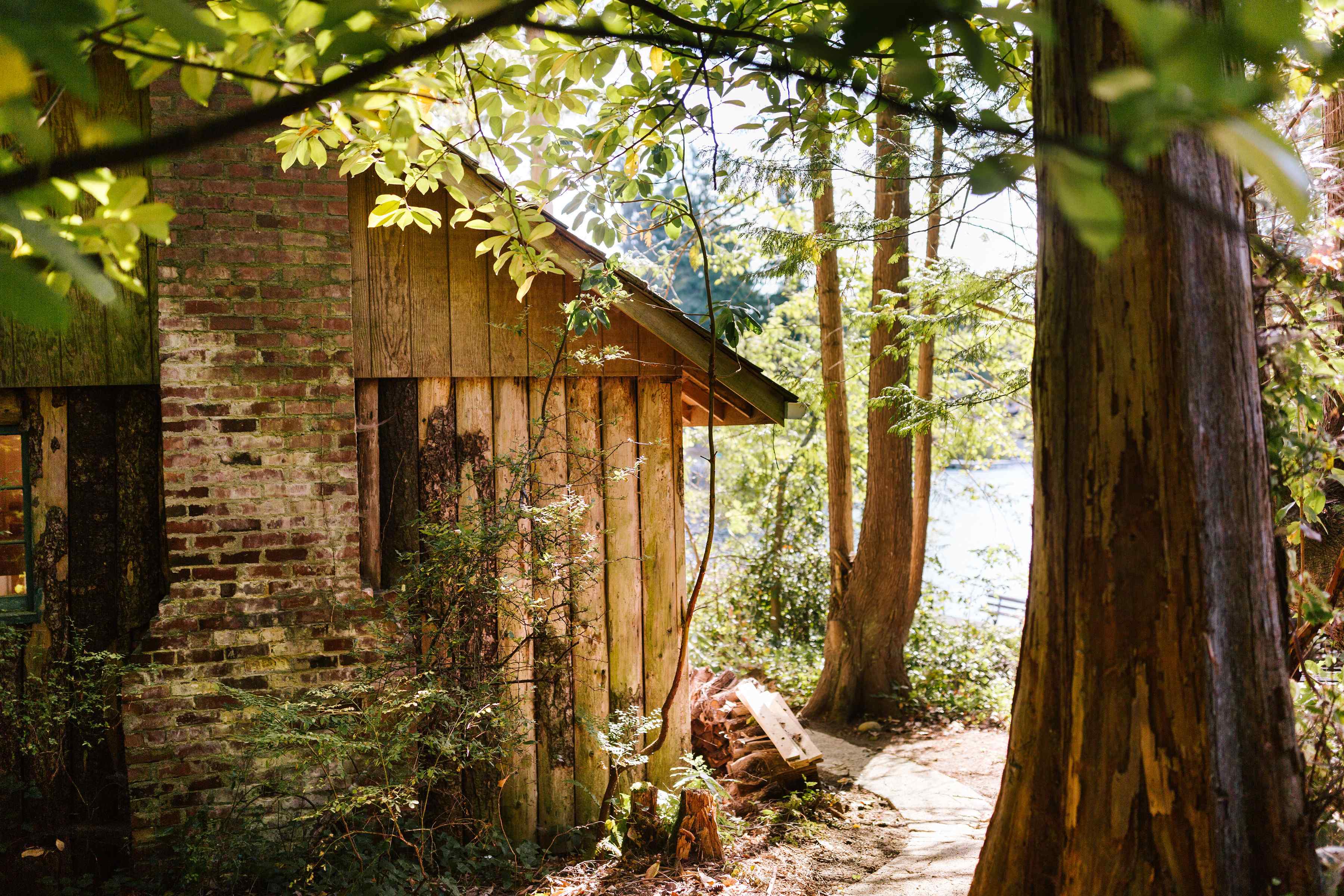 Pipe Lake Cabin