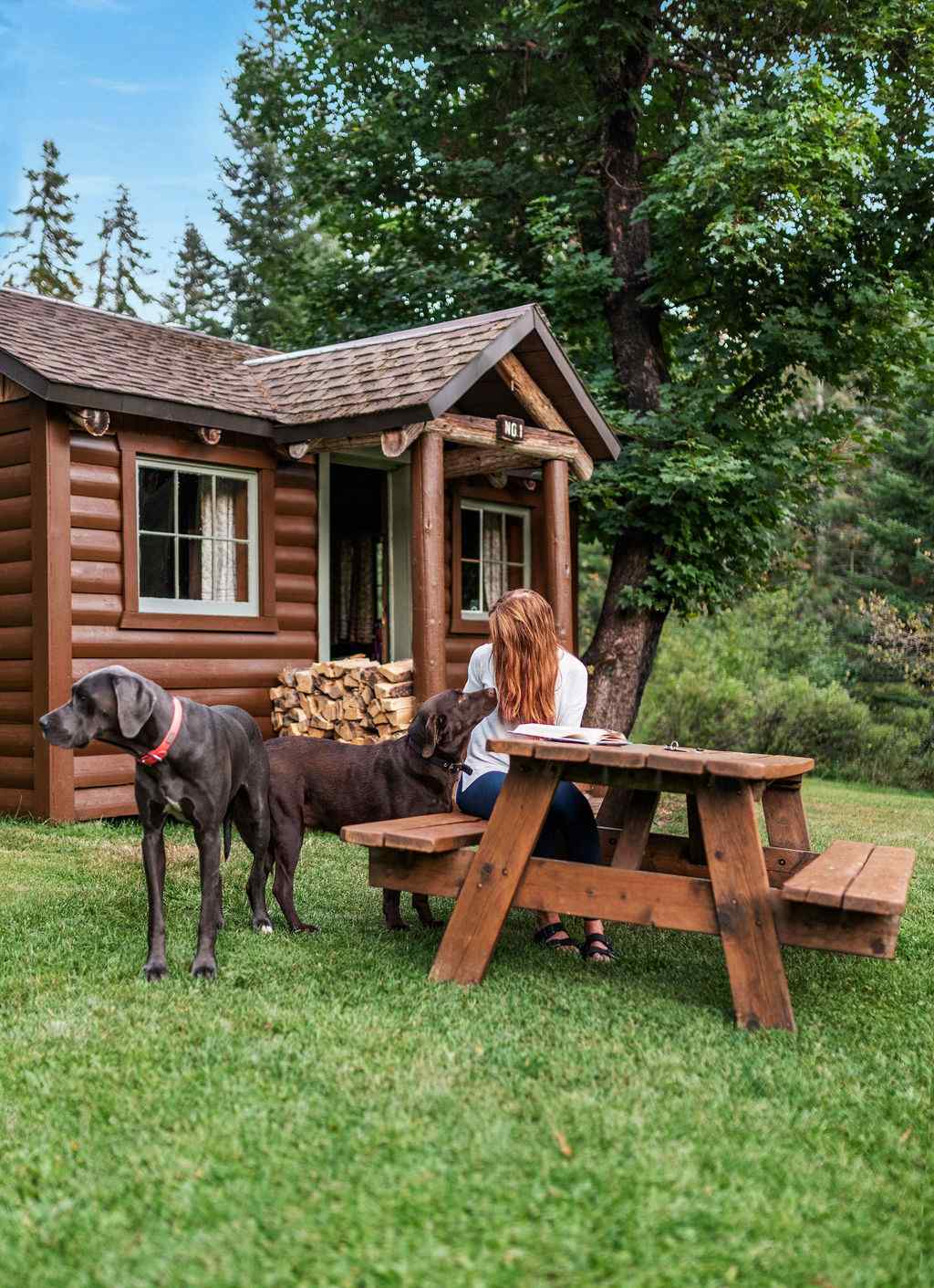 Rustic Cabin 1