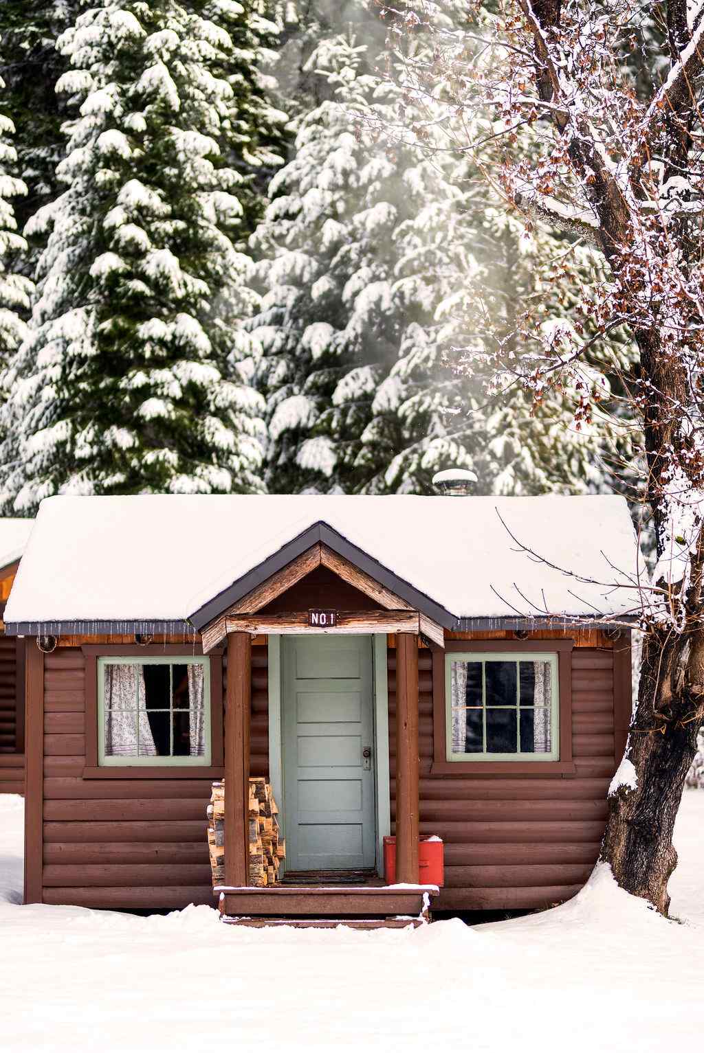 Rustic Cabin 1