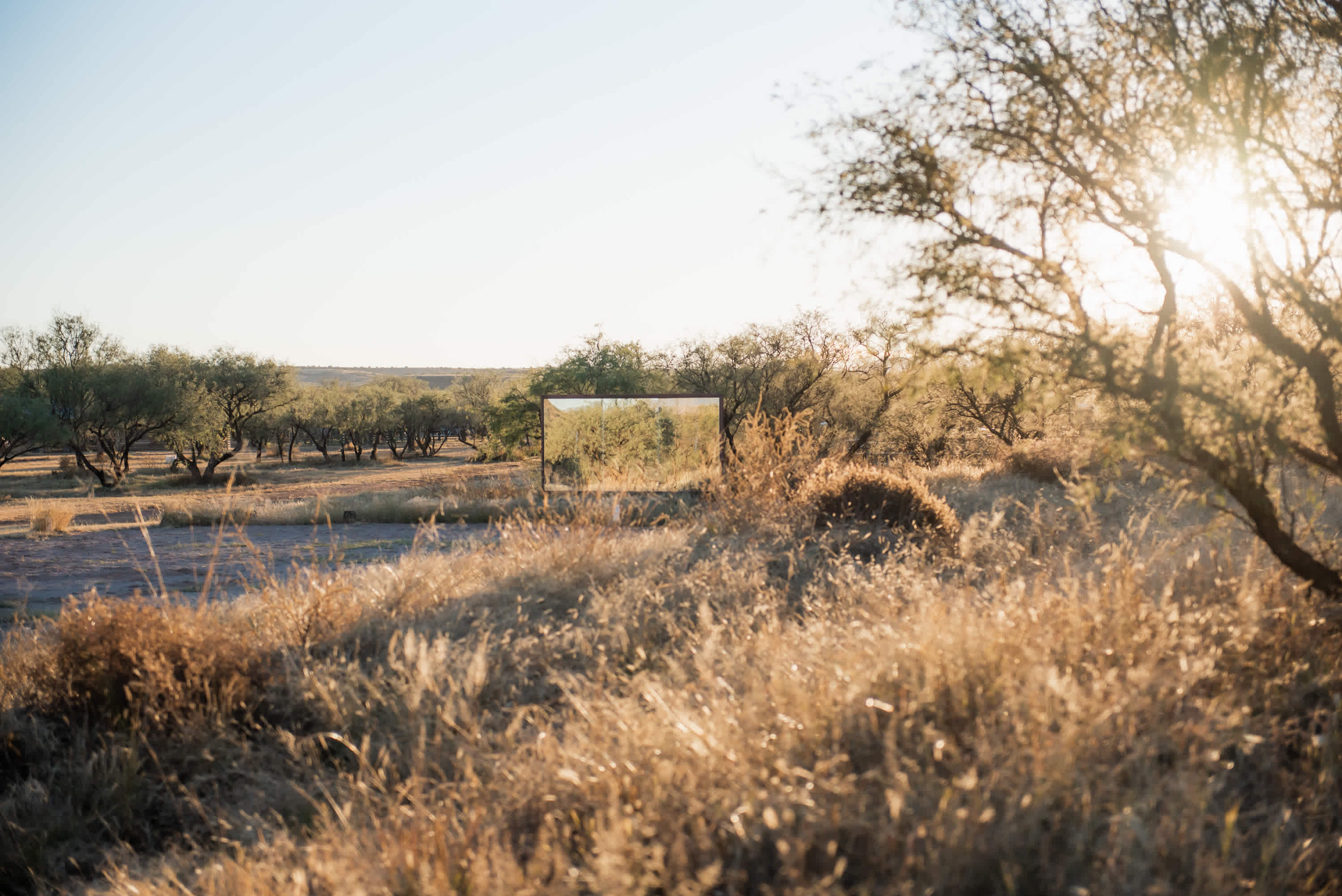 Rancho del Nido RV Horse Camp