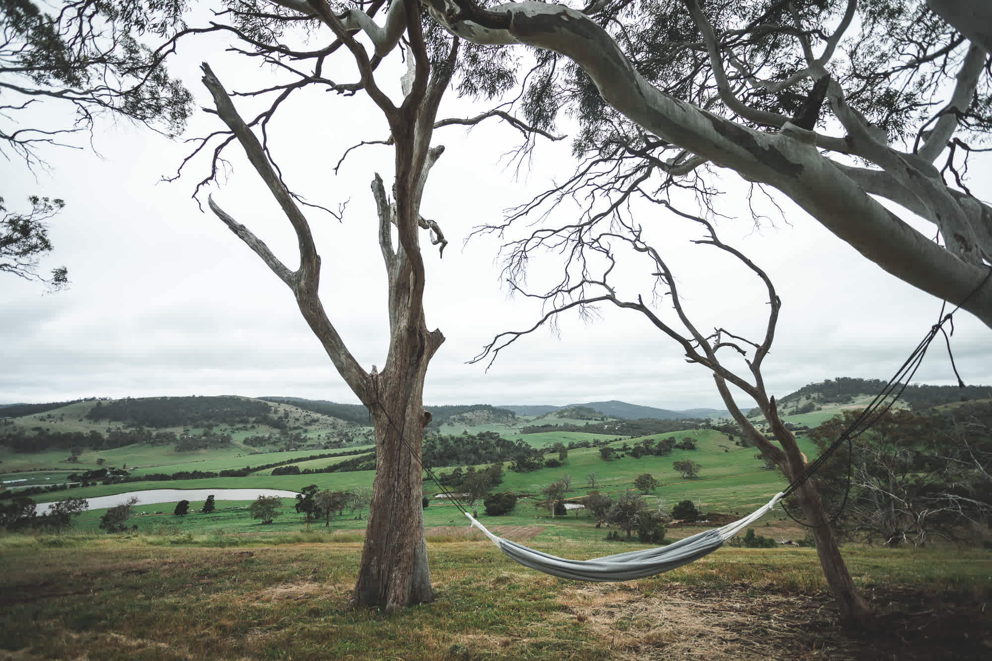Prossers Ridge Richmond