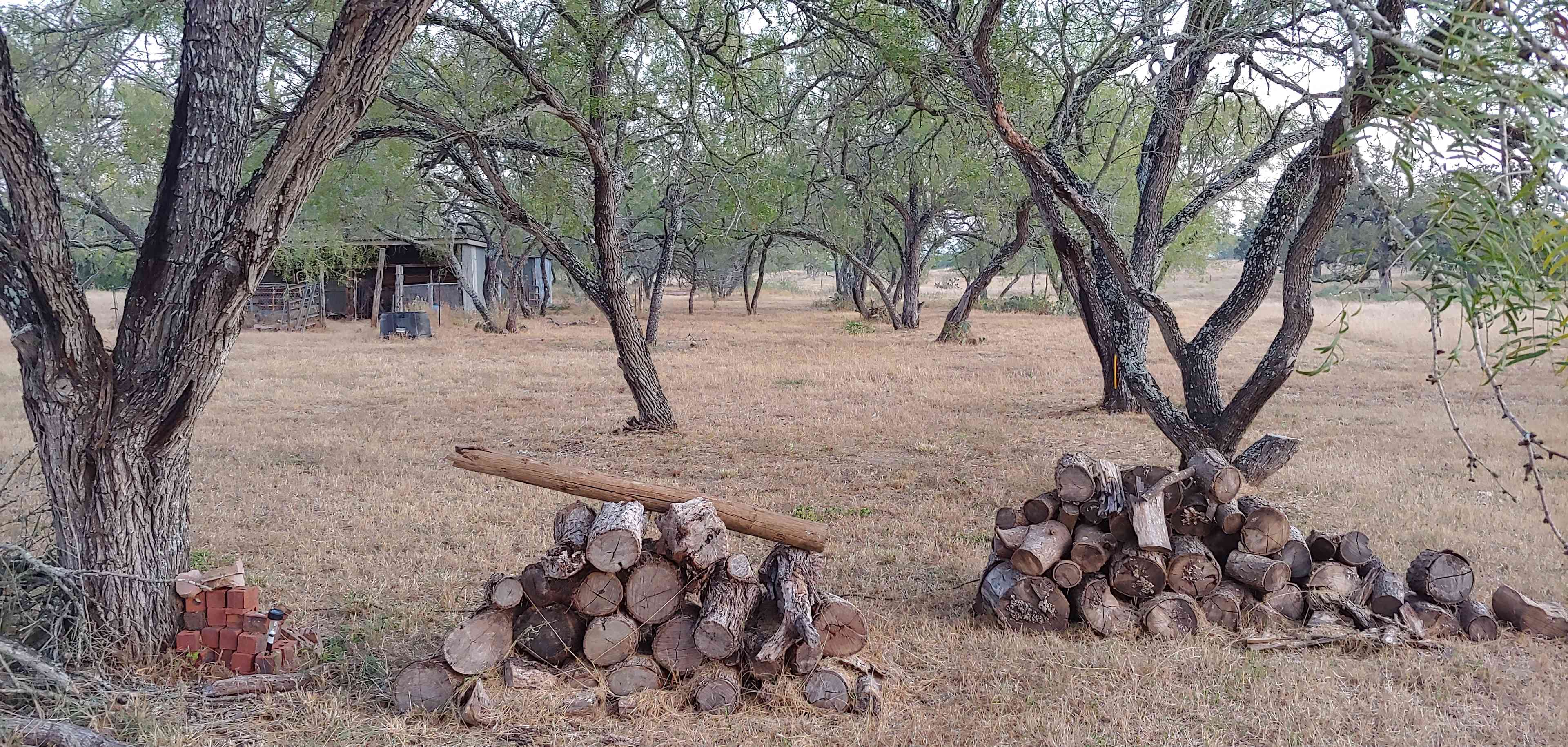 Book 12+ Acres for Group Glamping