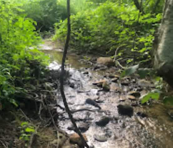Bigfoot Brook Campground