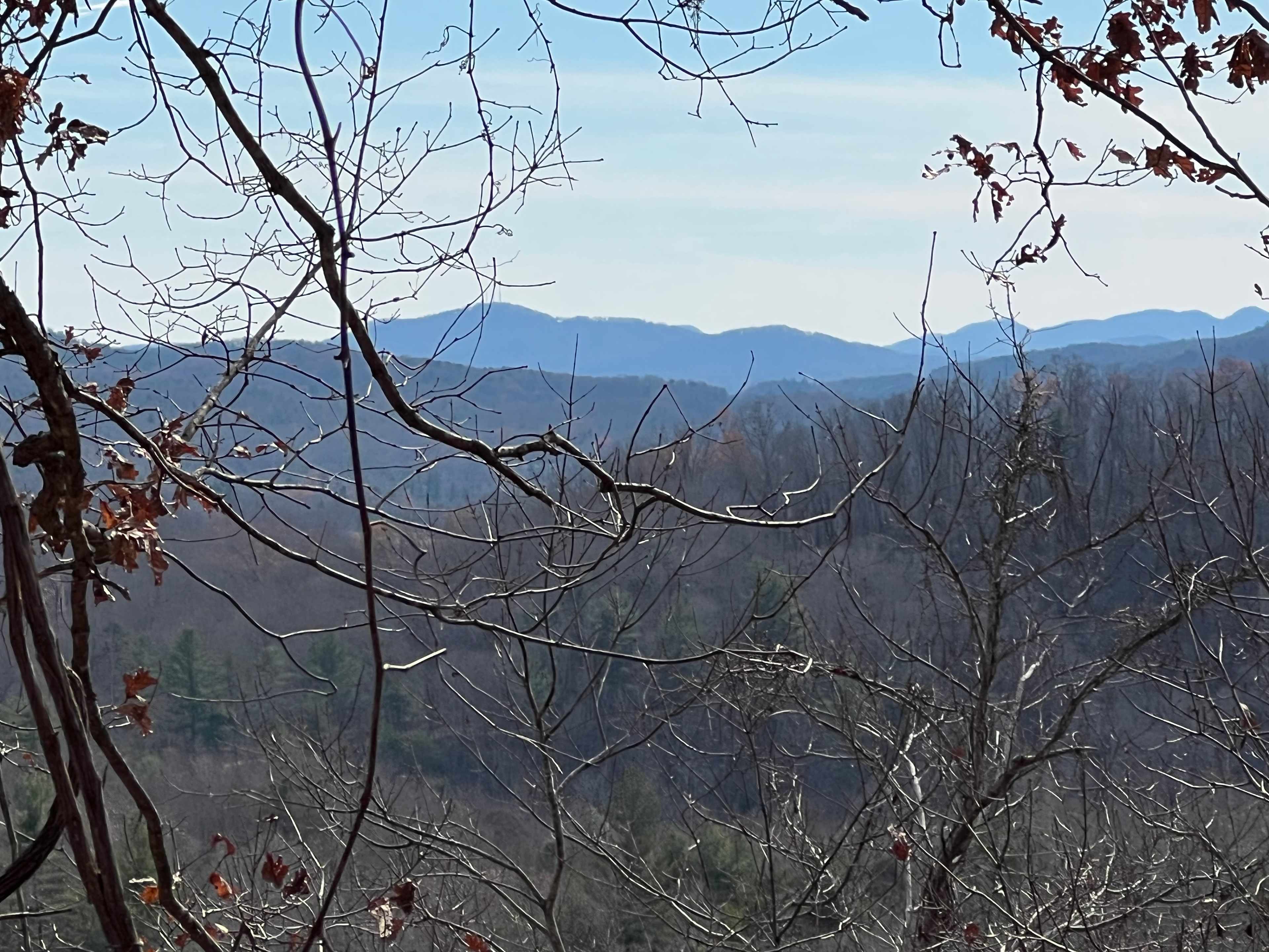 TangleWood Creekside Campsites