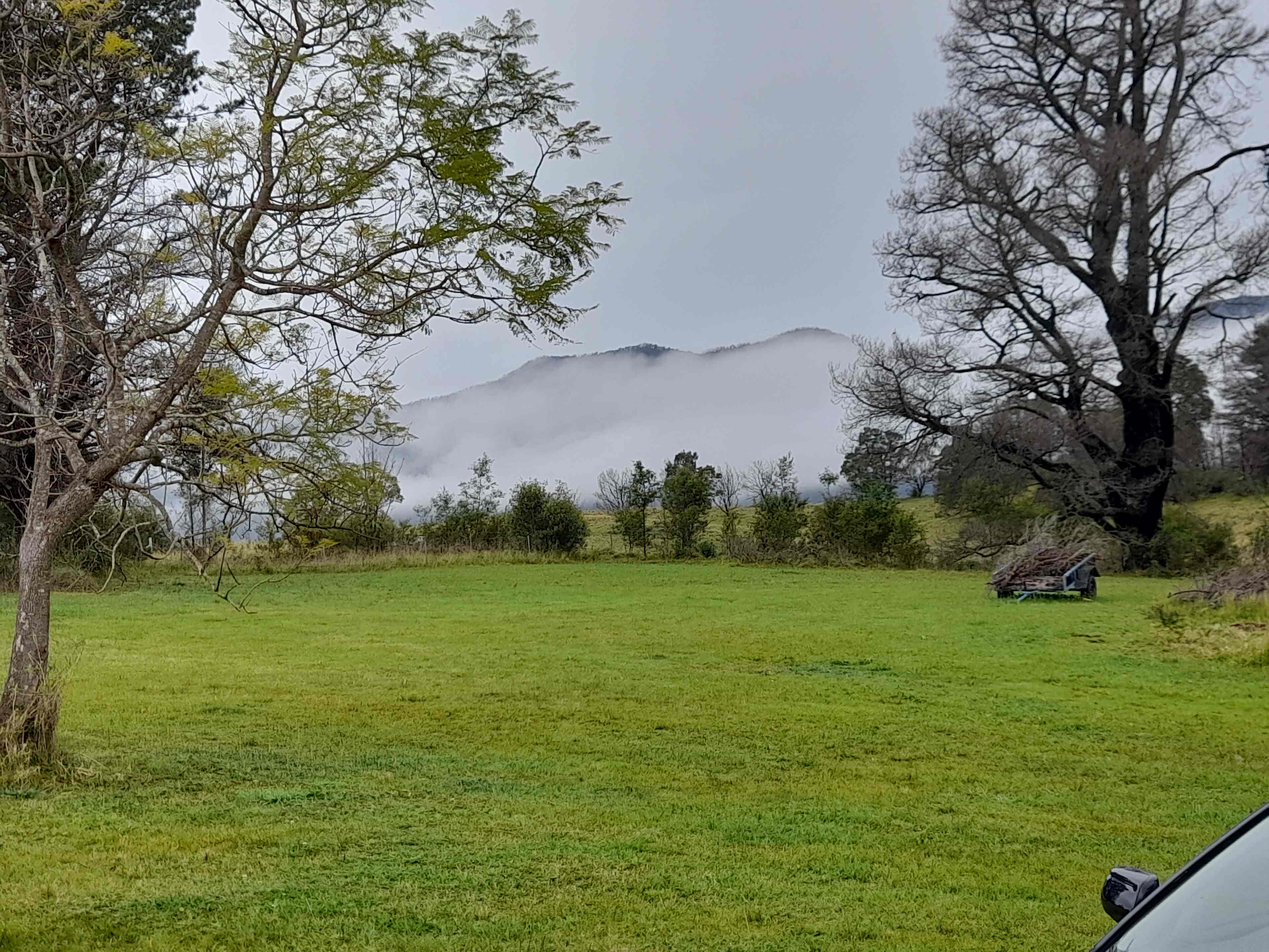 Misty Mountain Wildlife Refuge