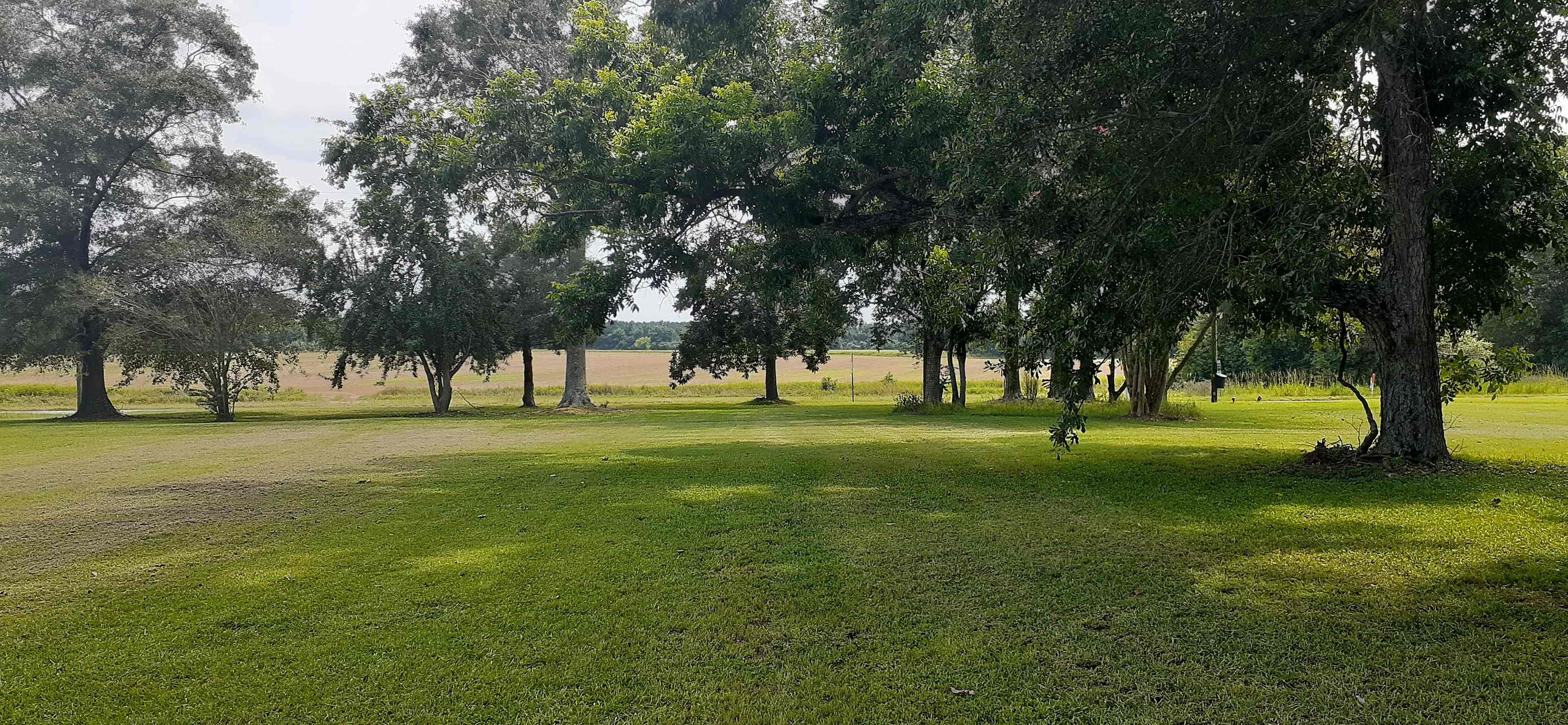 Magnolia Farm