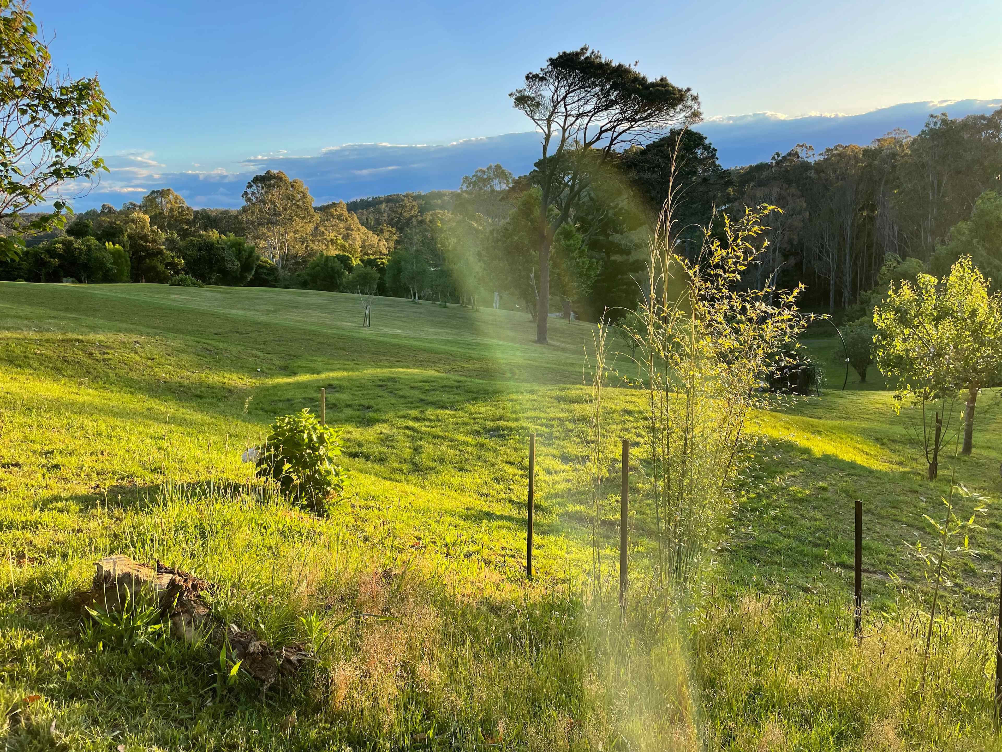 Nello Campsite