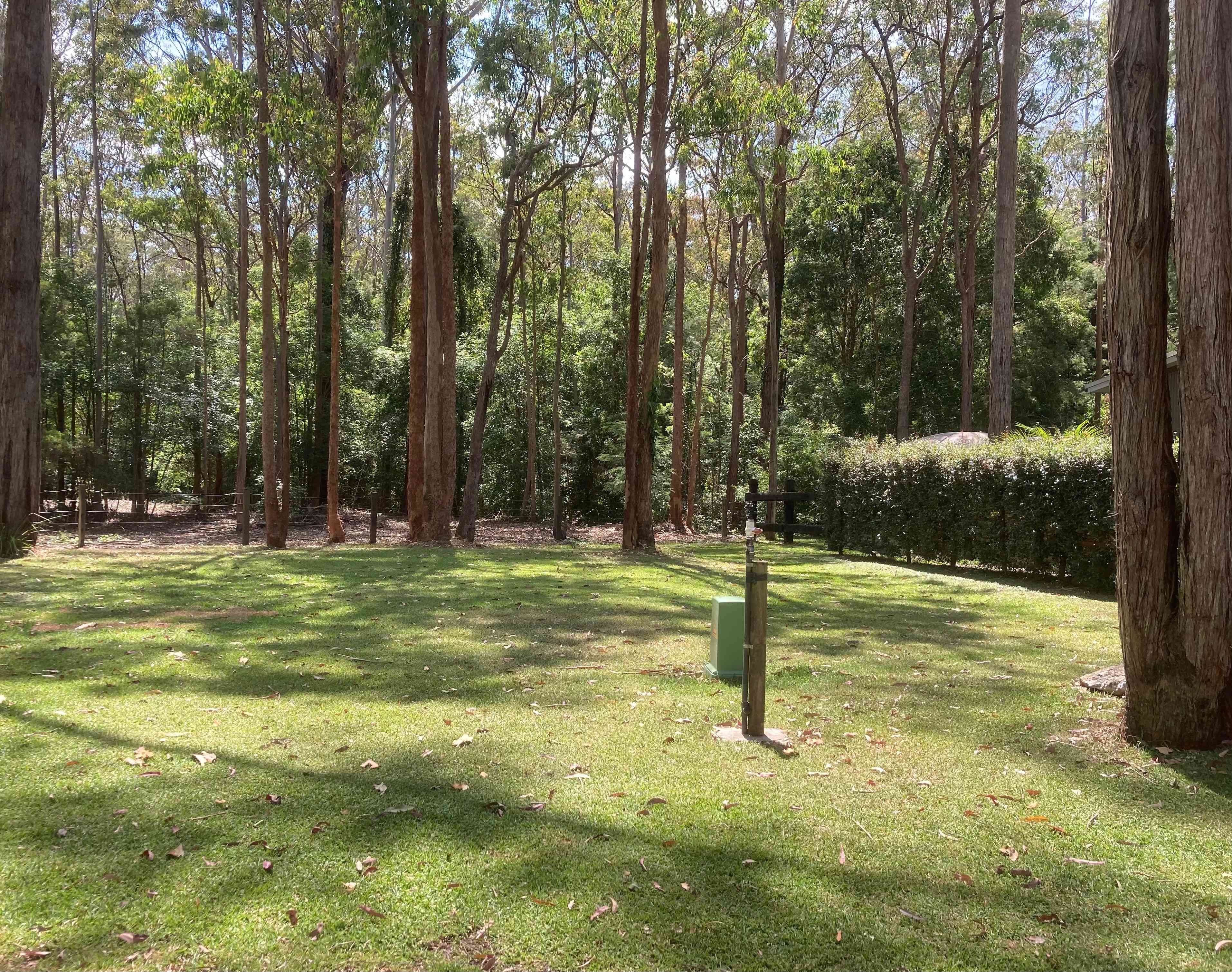 site#2 flat level ground 