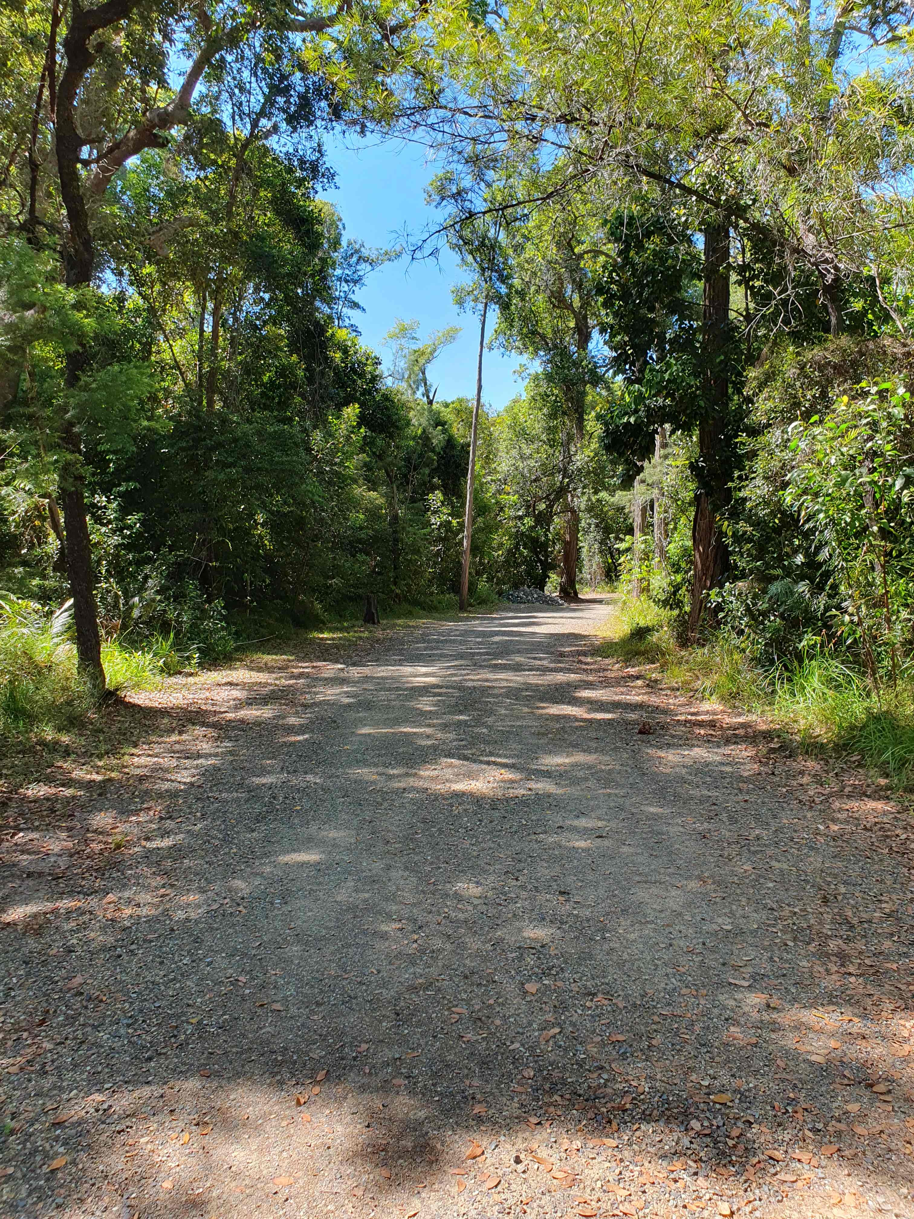 Ferns Hideaway Resort