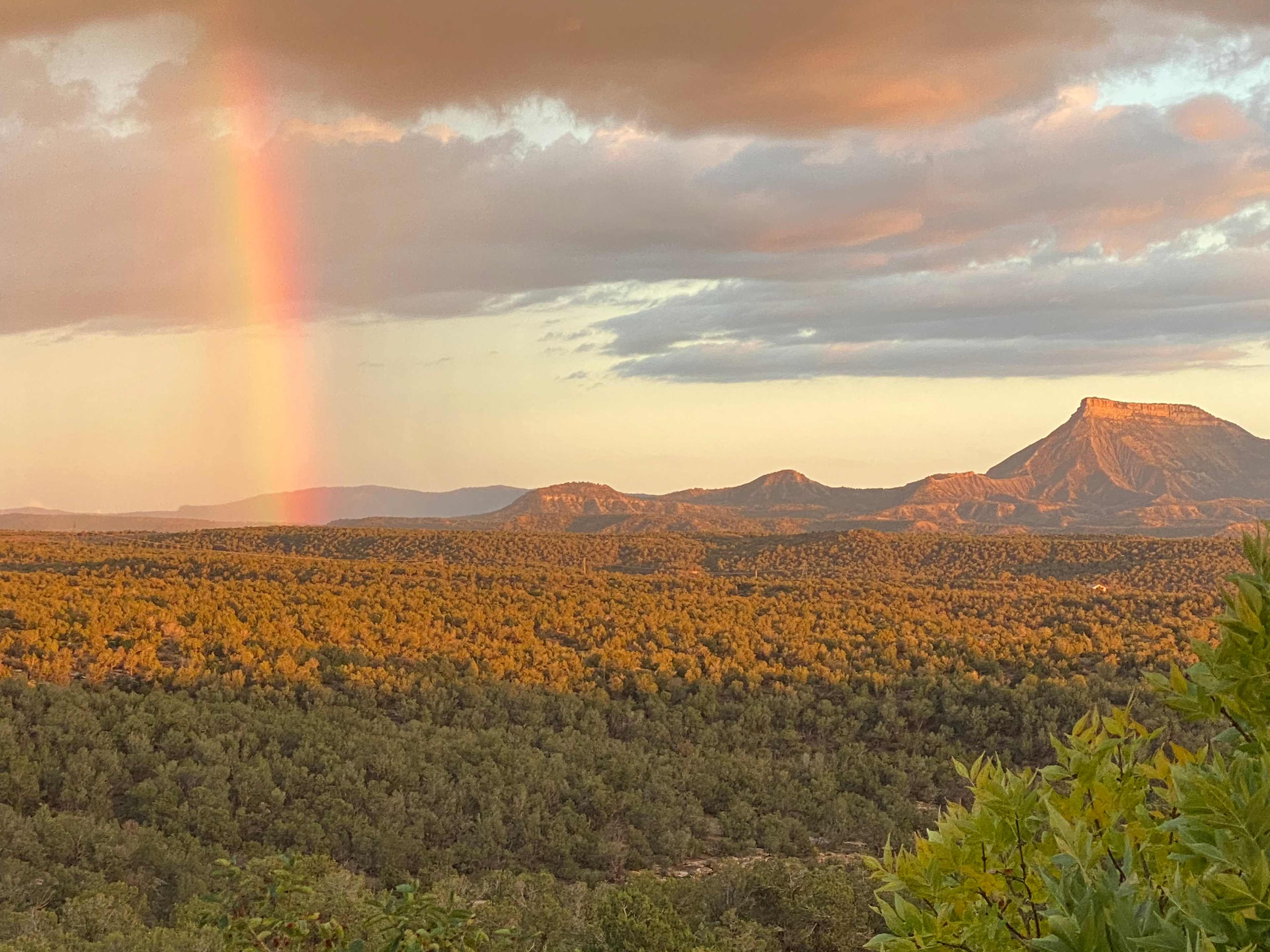 Zuma Bike Ranch & Camp in Cortez